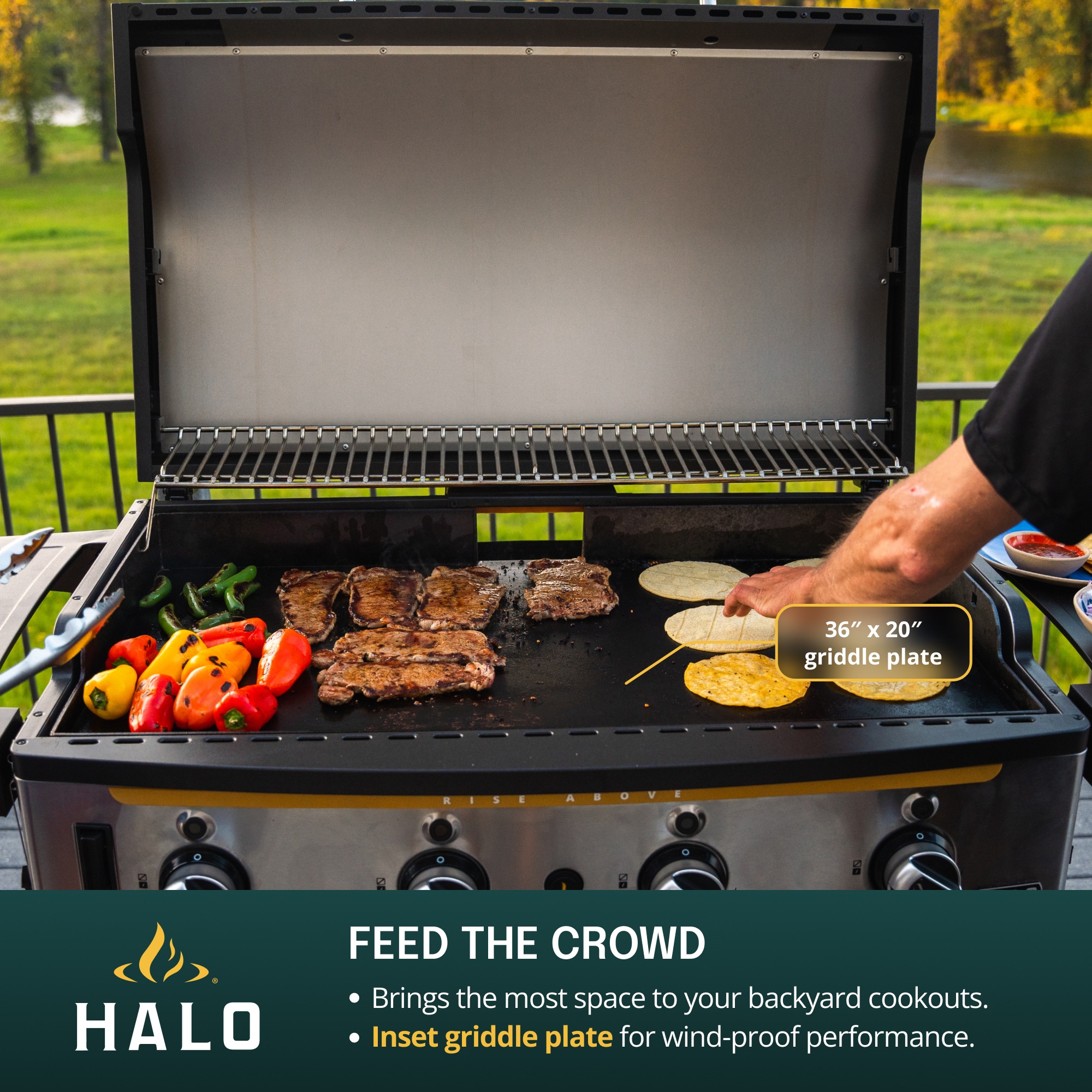 HALO HZ-1001-XNA Flat-Top-Grills - View #3