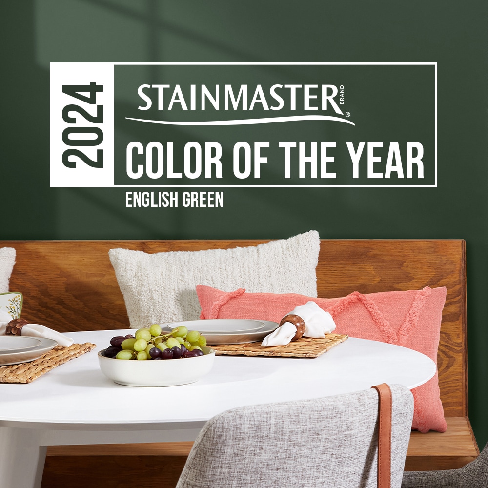 Shop STAINMASTER Pumice Stone Paint Project Kit at