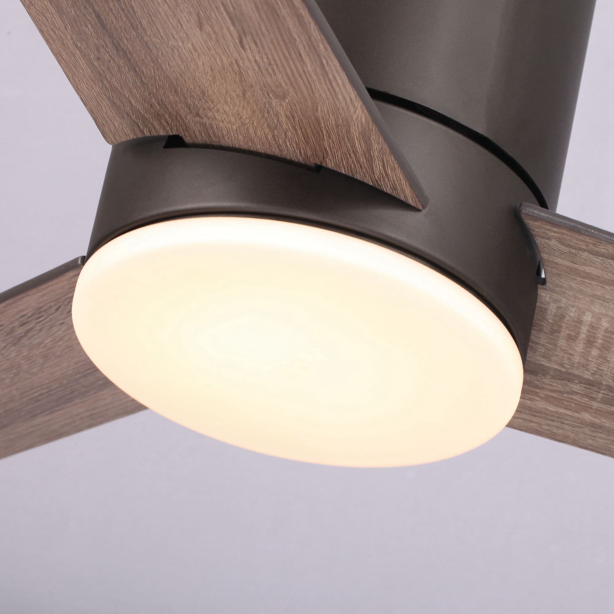 Parrot Uncle F6298110V Ceiling-Fans - View #11