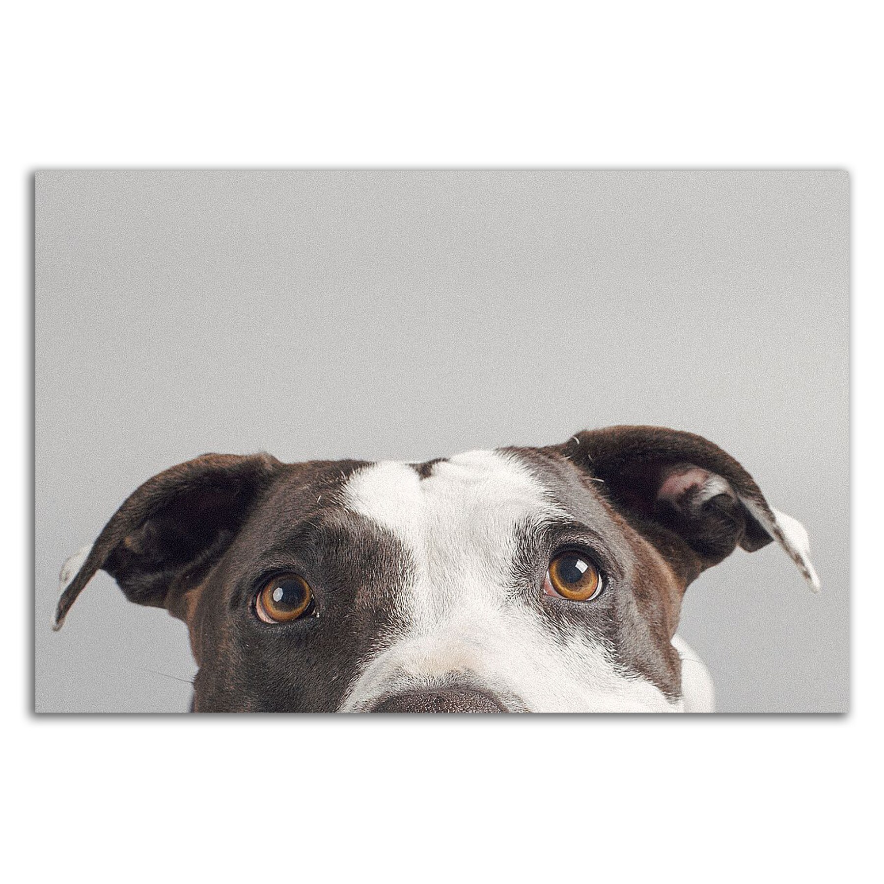 Tangletown Fine Art 8S1437DC-3624 Wall-Art - View #3