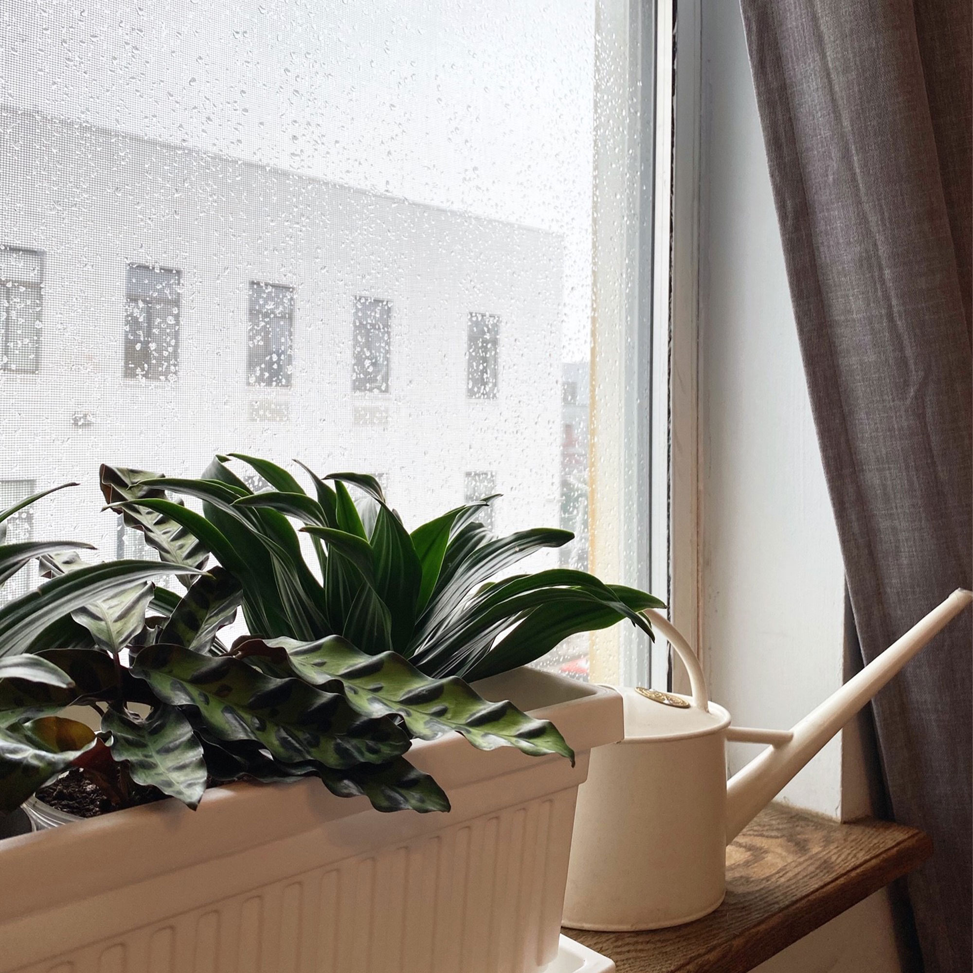 The HC Companies 400727 Planter-Window-Box - View #6