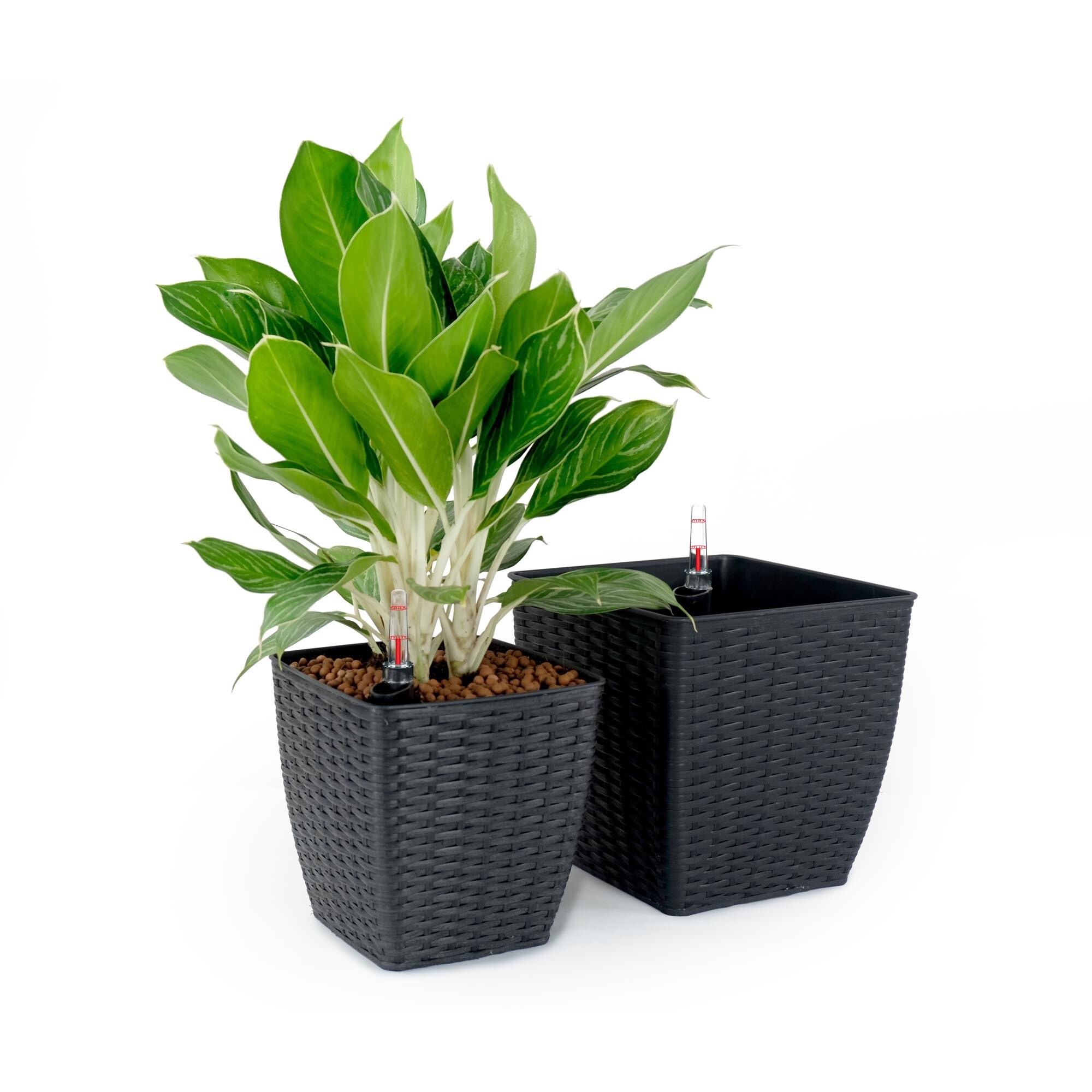 Miki Shinly JJ-4632-21DTY Planter-Window-Box - View #6