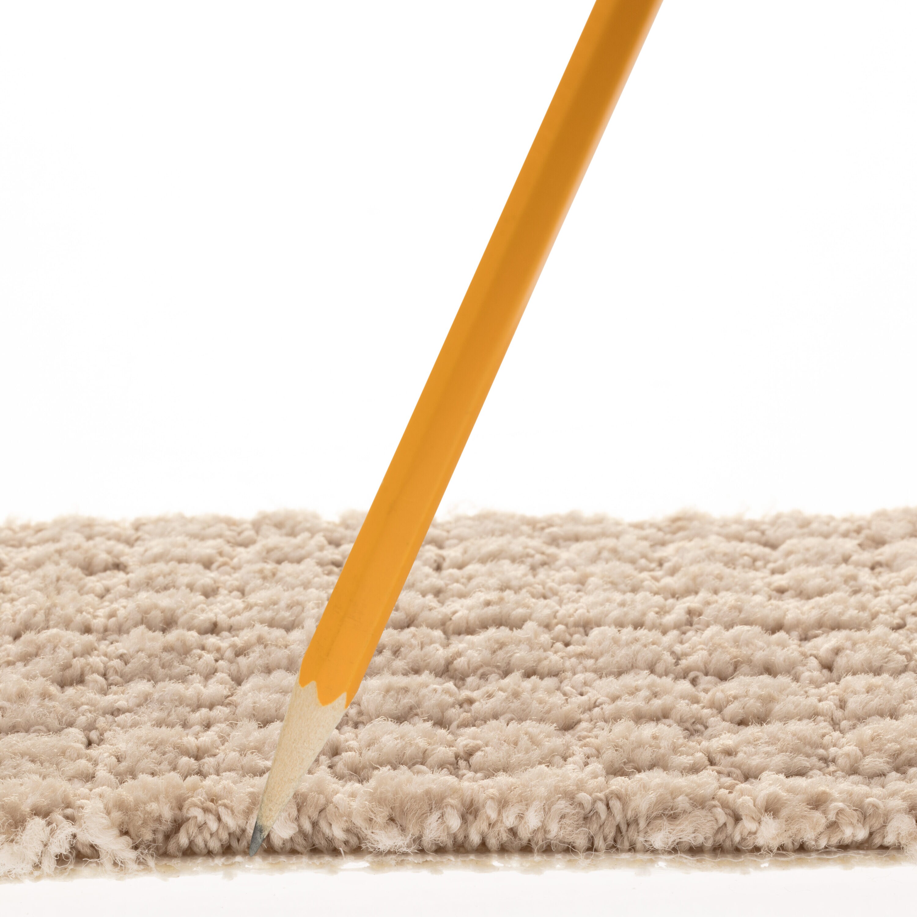 STAINMASTER PetProtect 7L885 - 104 - SAMP Carpet-Samples - View #7
