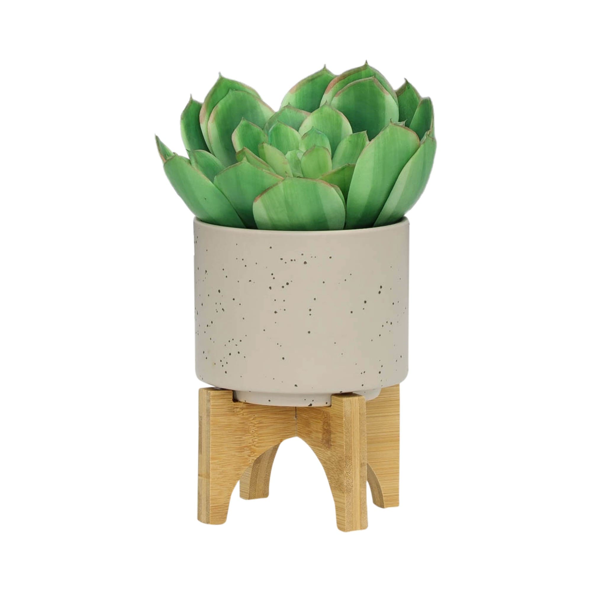 Yiekholo LL-1595AA Planter-Window-Box - View #7