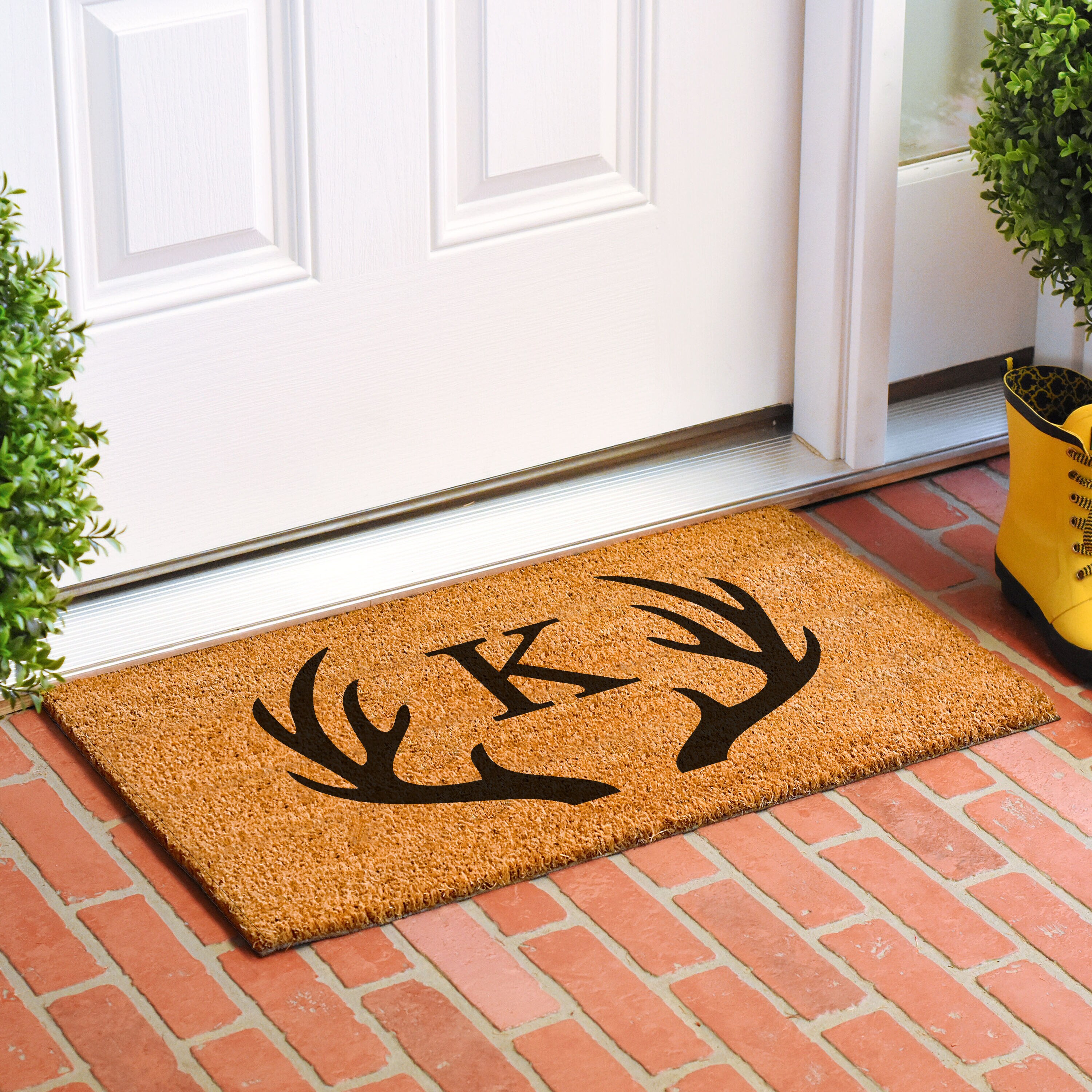 Big Deck Energy Funny Coir Doormat Door Mat Entry Mat 