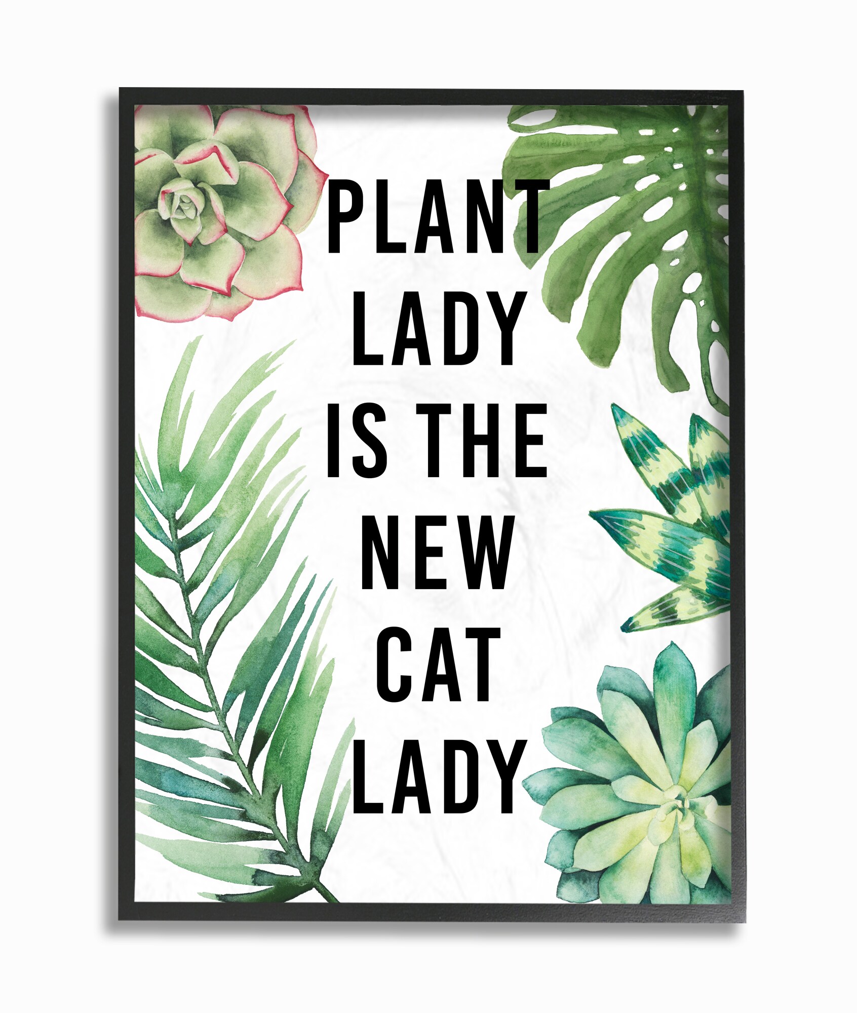 Stupell Industries MWP-446-FR-11X14 Plant Lady Is The New Cat Lady with Plants Studio W Framed 14-in H x 11-in W Abstract Print