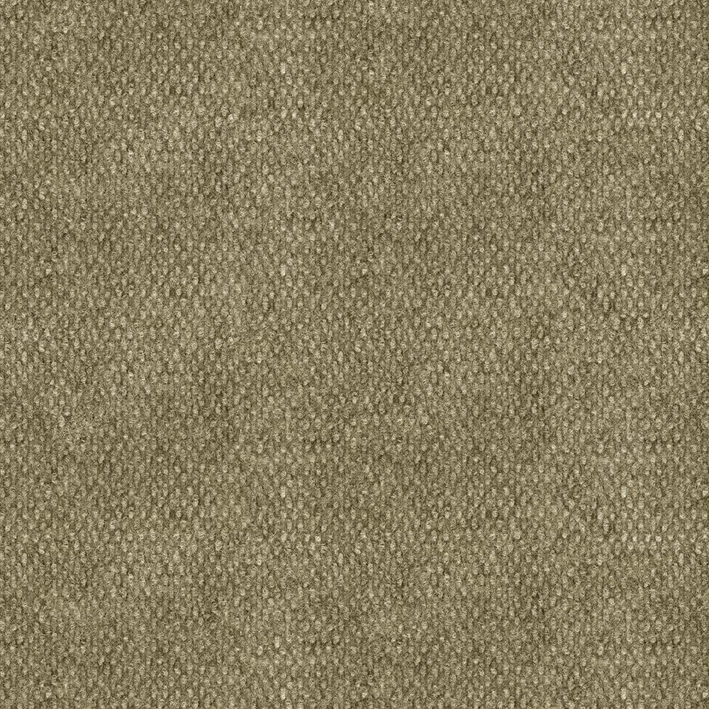 Foss 7HD4N400144L Home and Office Papago Taupe Gray 17-oz sq yard Solution-dyed polyester Needlebond Indoor or outdoor Carpet