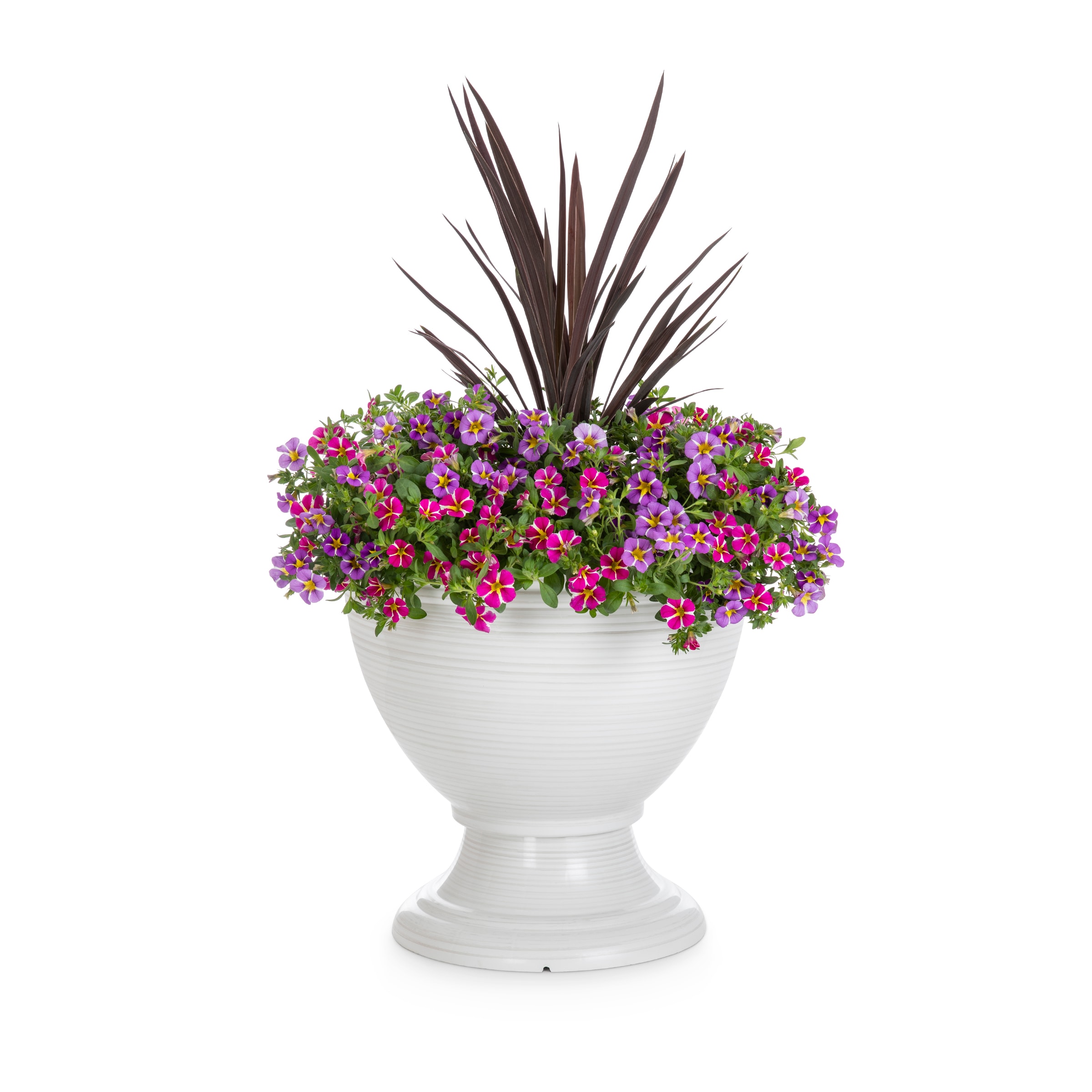 Lowe's 2886988 Multicolor Trixi Starspinner in 4.00 Gallon(s) Planter 1 -Pack
