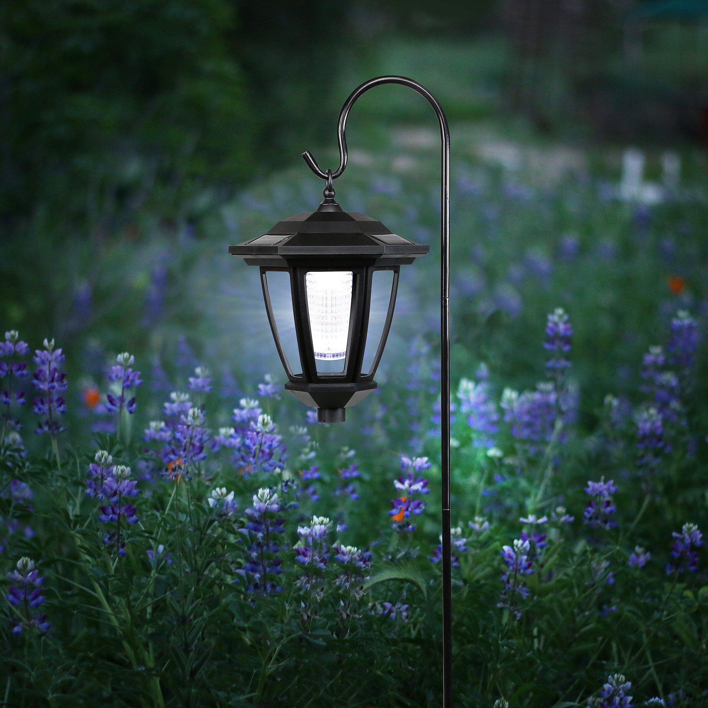 Solar Black LED Outdoor Wall Lantern