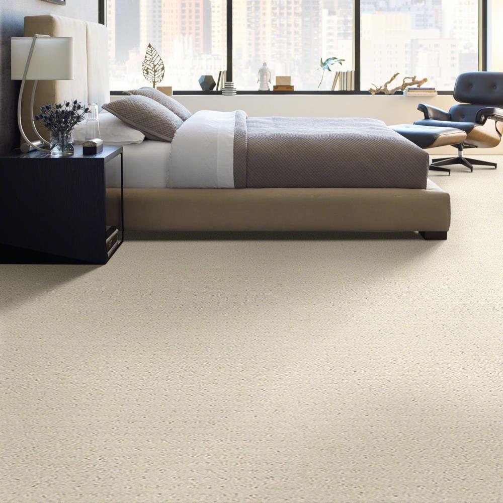 STAINMASTER 7L77000172 Carpet-Panel - View #4