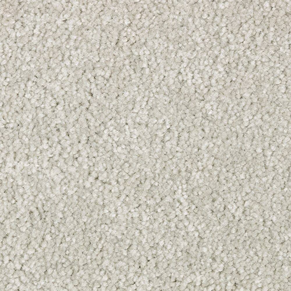 STAINMASTER STP69-L002-0808 (Sample) Serenity Stride III Shady Day Gray 70-oz sq yard Polyester Textured Indoor Carpet