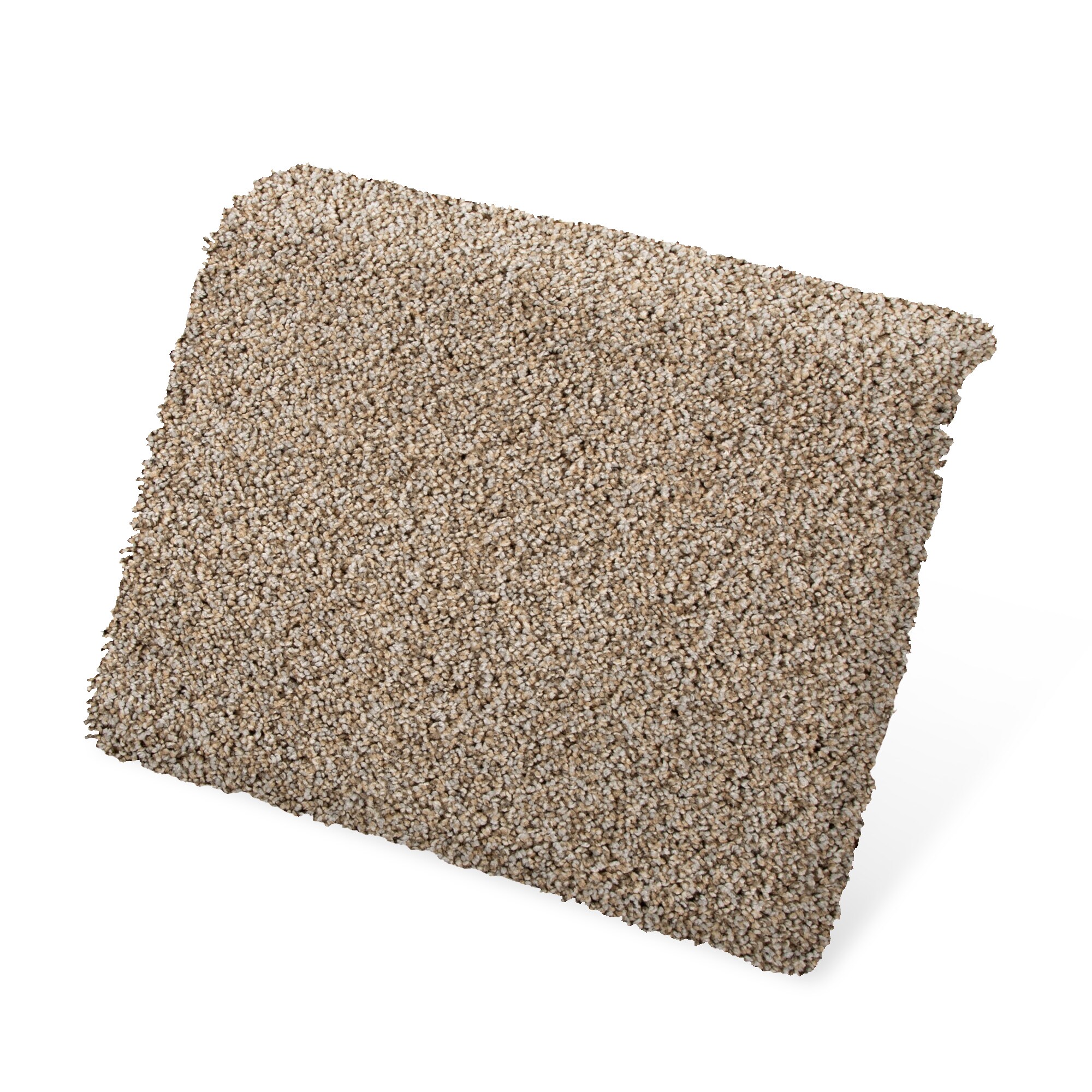 STAINMASTER SS046-L008-S0808 Carpet-Samples - View #3