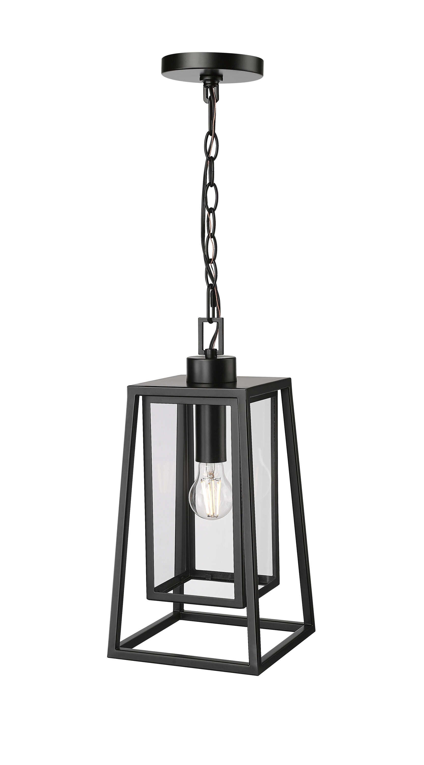 Millennium Lighting Denzell 1 -Light Powder Coated Black Transitional Clear glass Lantern Small Outdoor Hanging Pendant Light