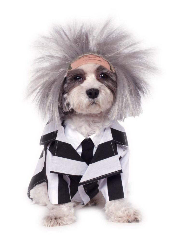  Rubie's Hot Dog Pet Costume, Small : Pet Supplies