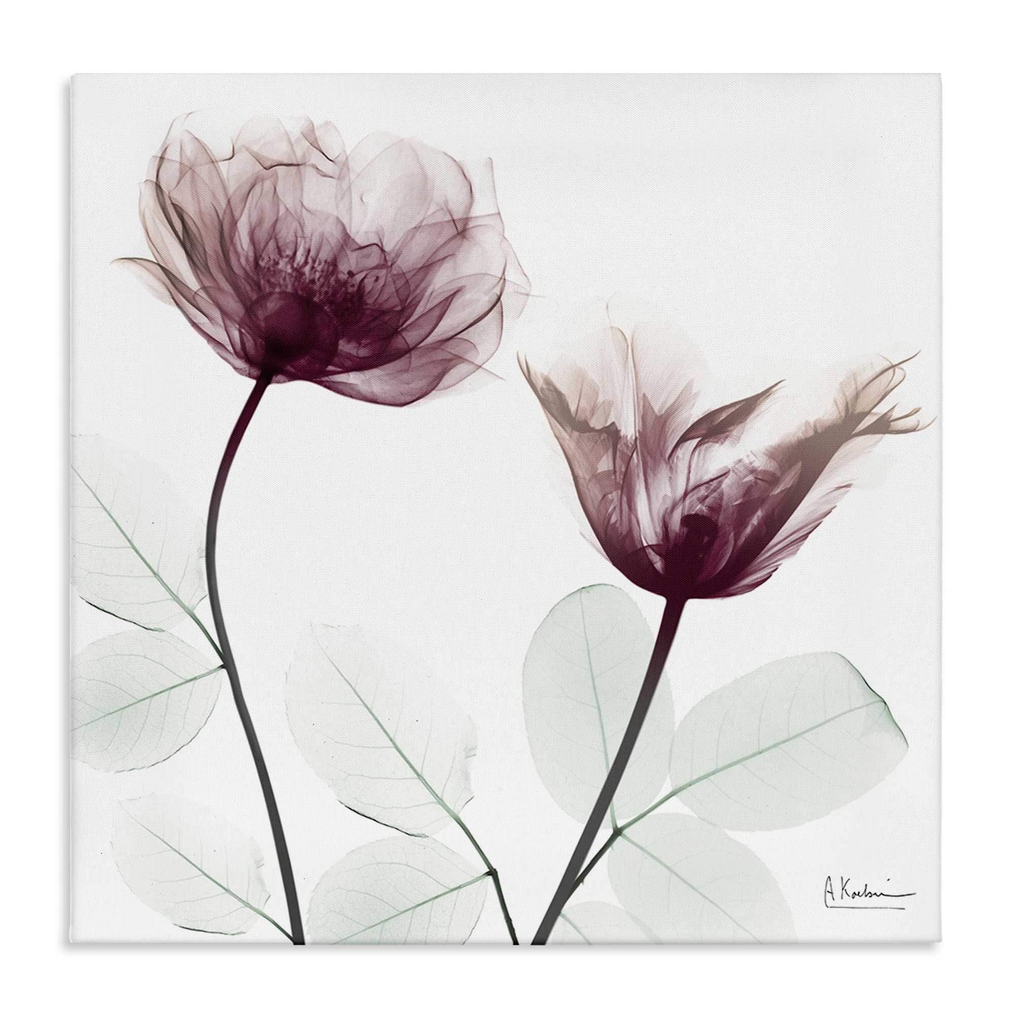 Stupell Industries BS-008-CN-24X24 Minimalist Translucent Flowers Canvas Wall Art By Albert Koetsier 24 x 24