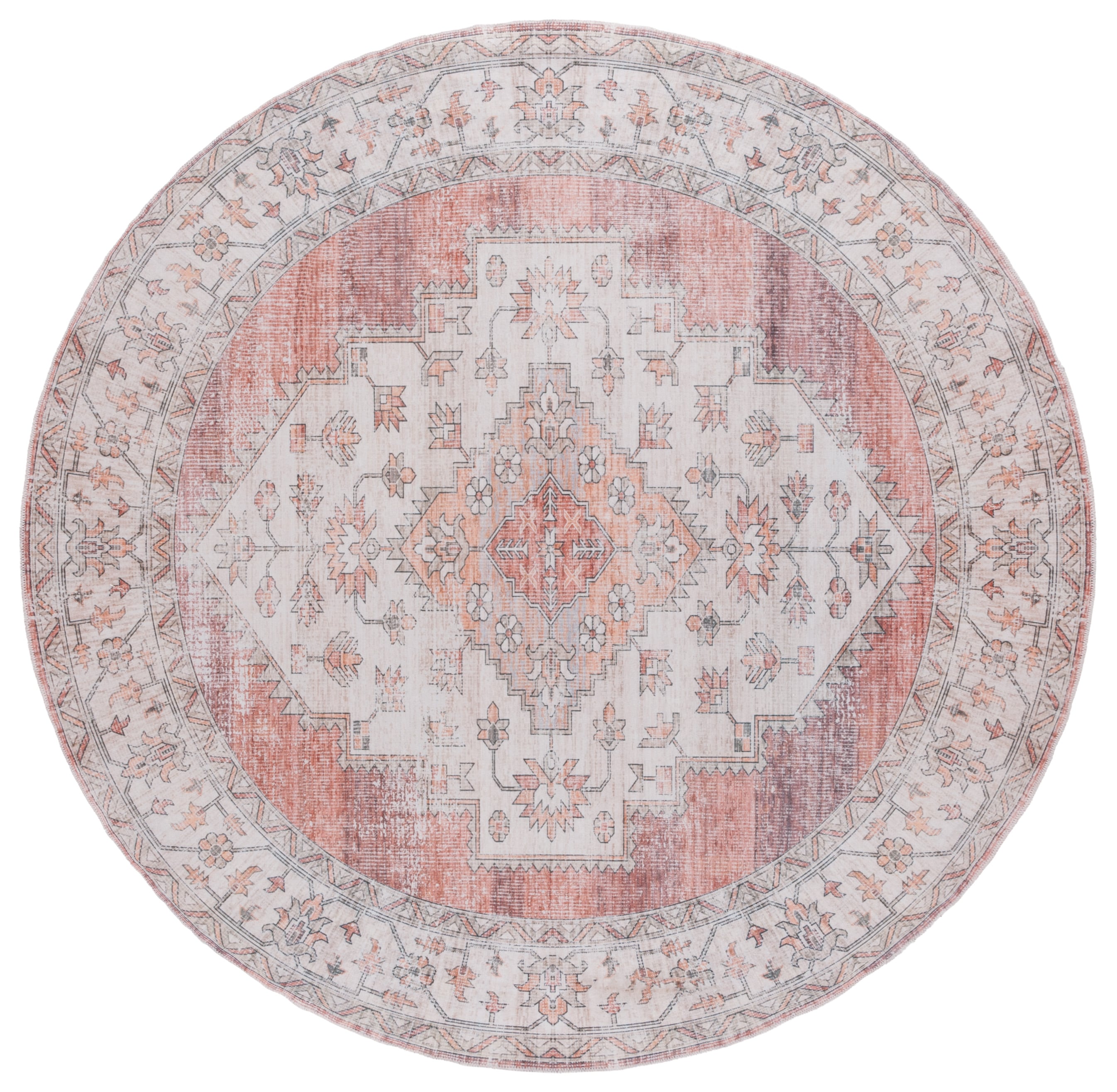 Safavieh ARZ236P-6R rugs - View #2