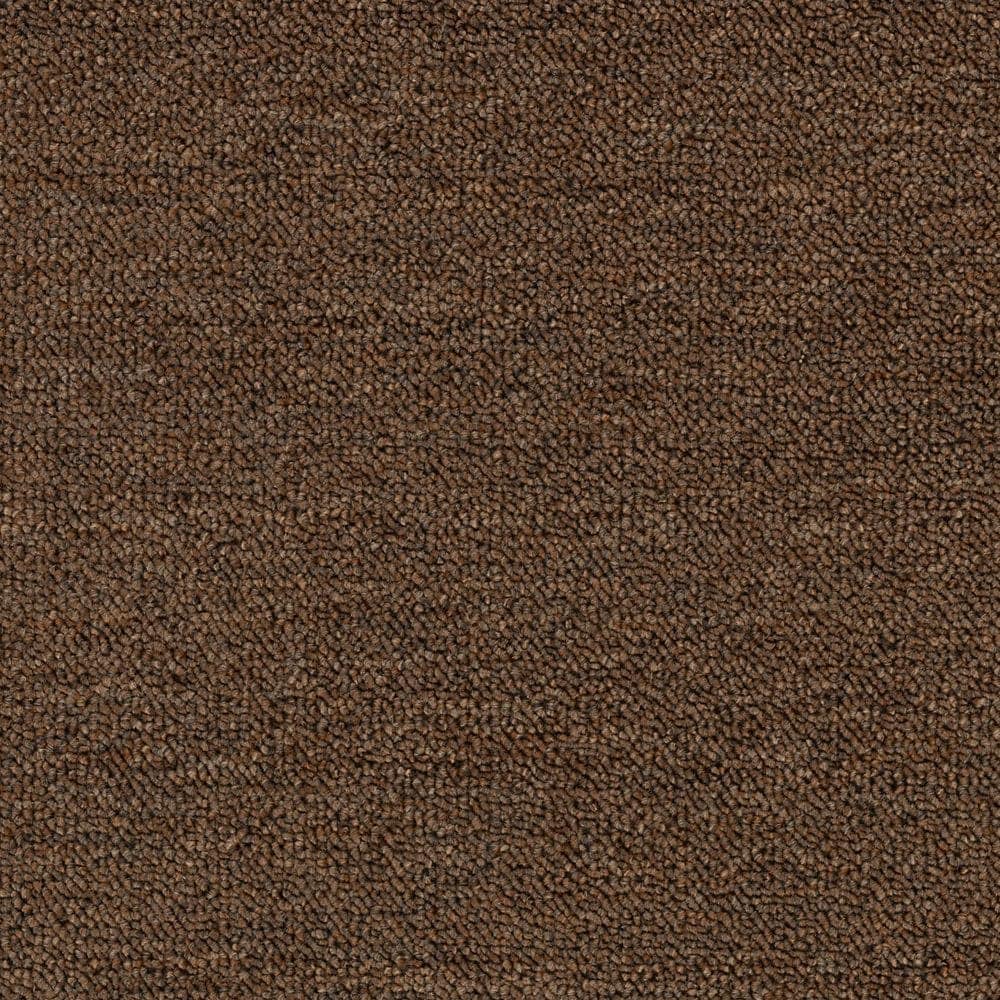  LC53-12-L008 Home and Office Industrial Loop 26 Pine Nut Brown 26-oz sq yard Solution-dyed polyester Berber/Loop Indoor Carpet