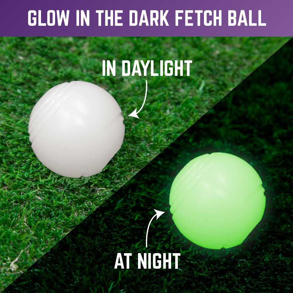 Glow in the dark fetch cheap ball