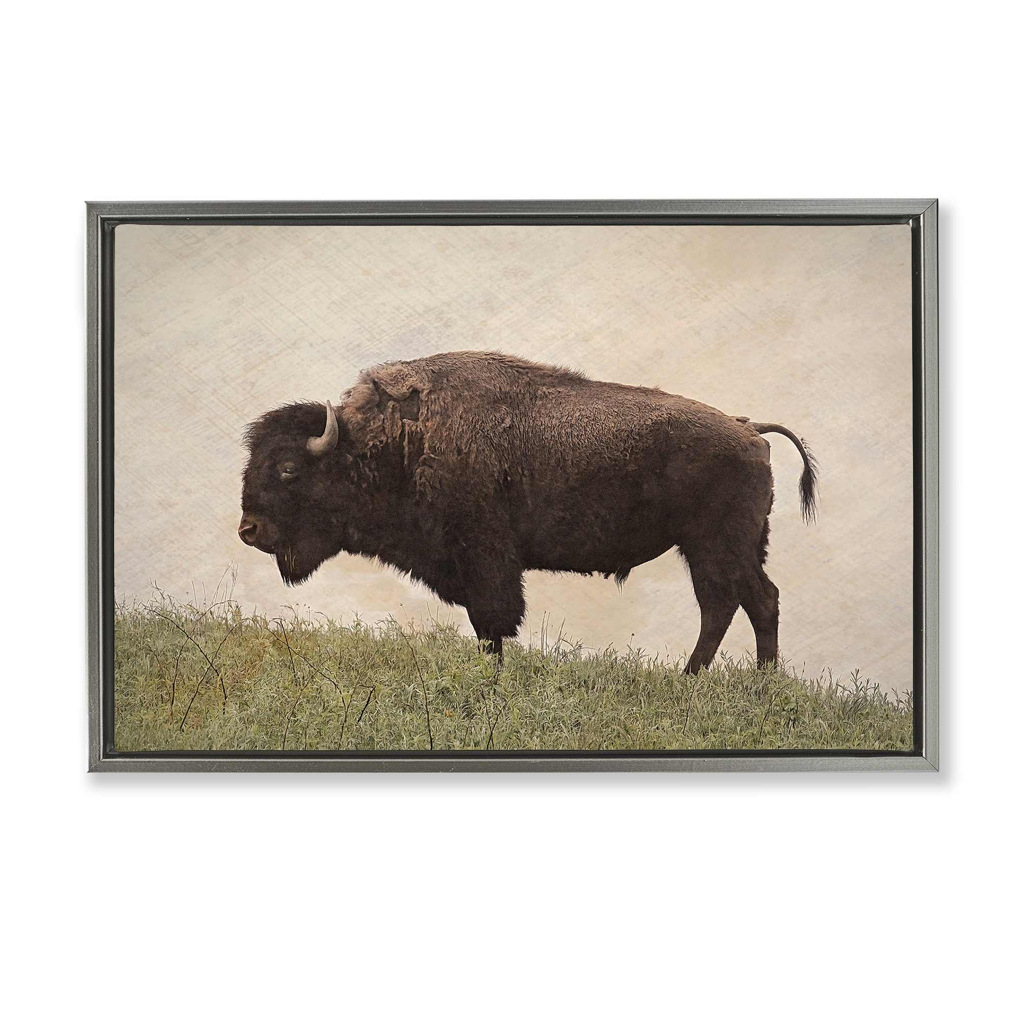 Stupell Industries BT-333-FFL-20X30 Serene Buffalo on Country Hill Gray Framed Floater Canvas Wall Art By Steve Toole 31 x 21