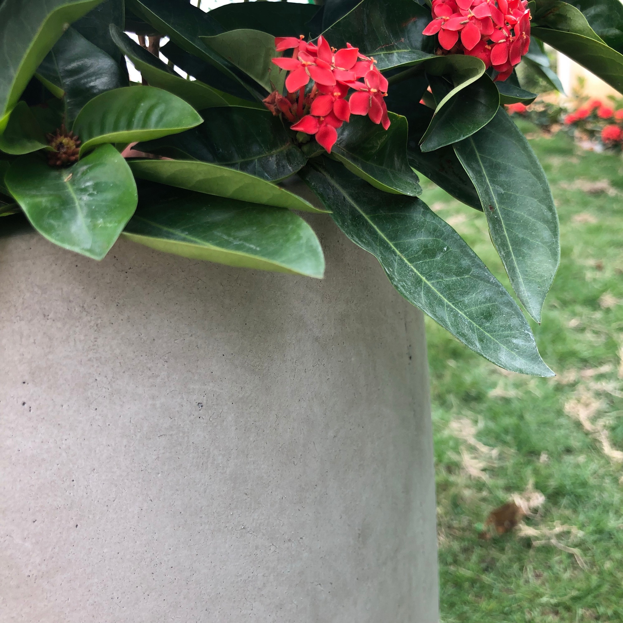 PLANTARA PA050B-8021-2 Planter-Window-Box - View #3