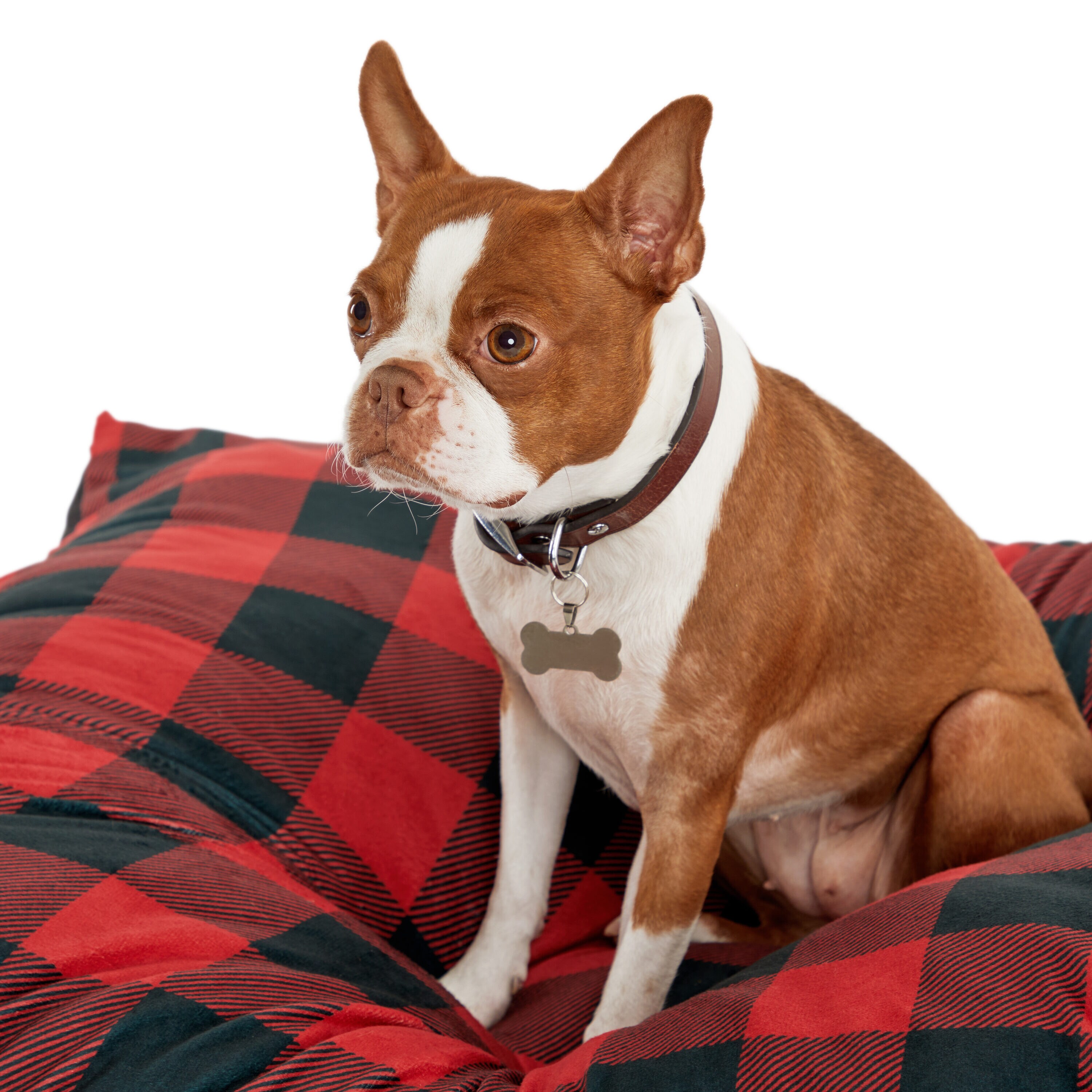 Petco 3789060 Pet-Beds - View #4