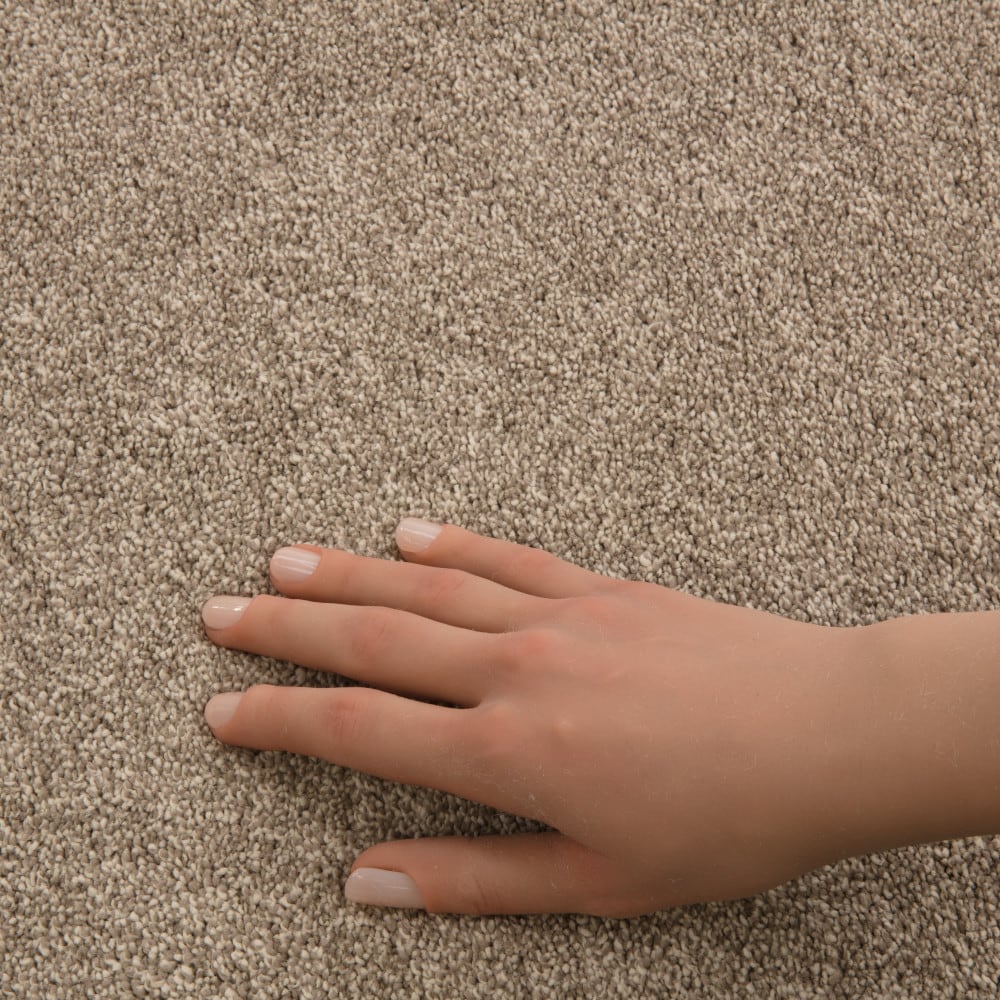 STAINMASTER PetProtect 7L937-123-SAMP Carpet-Samples - View #4