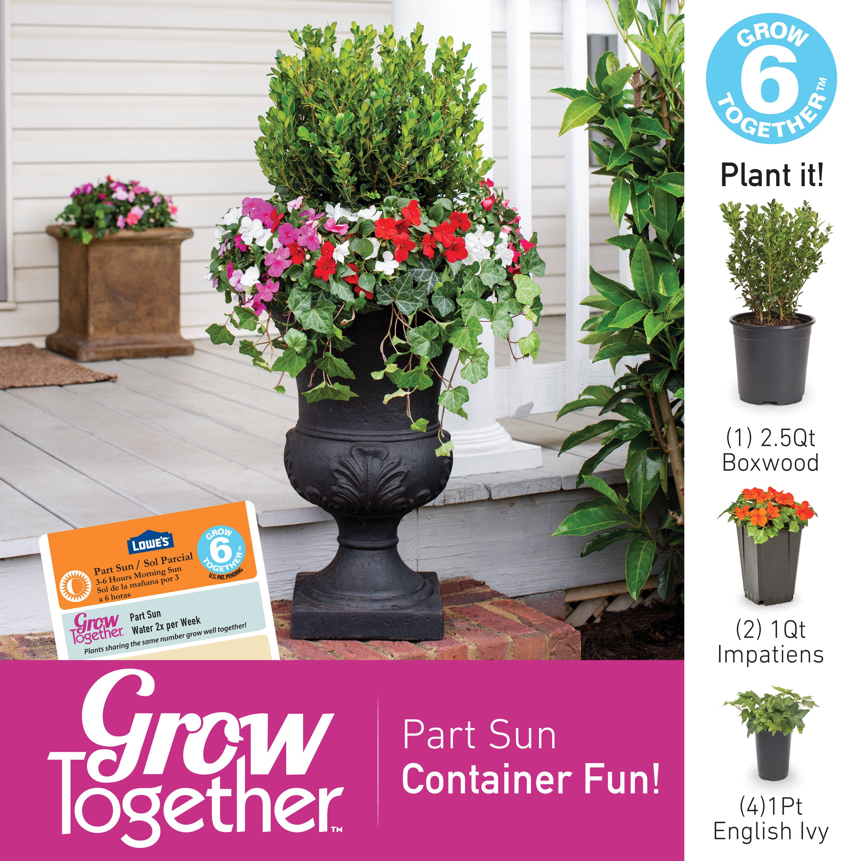 Lowe's NURSERY annuals - View #4