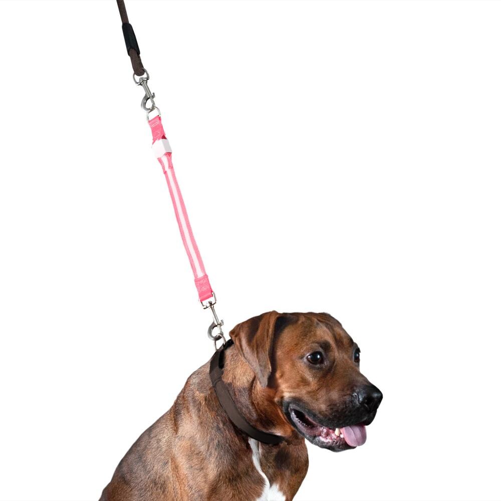 16 ft dog leash