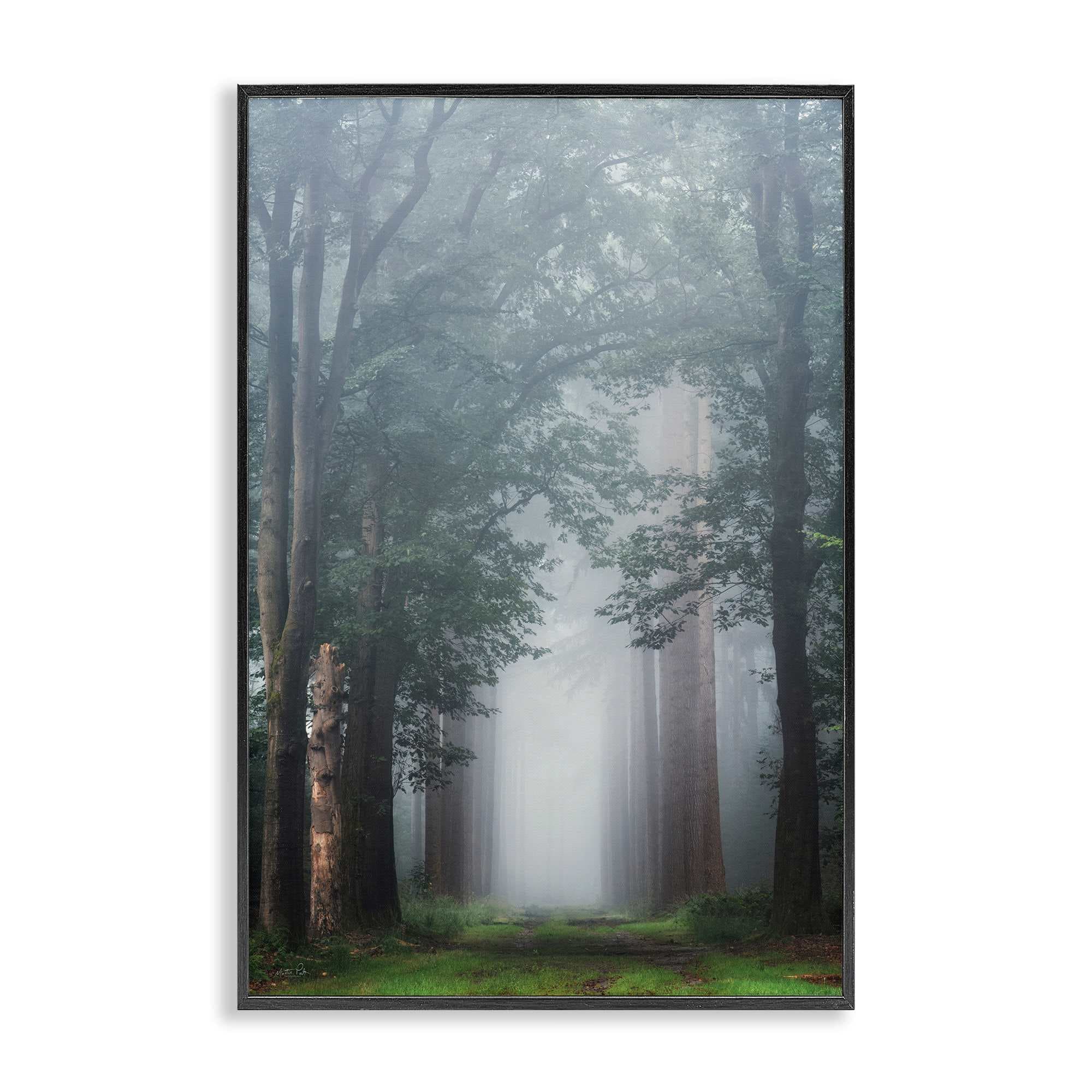 Stupell Industries BT-590-FR-20X30 Calm Forest Clearing Framed Giclee design by Martin Podt