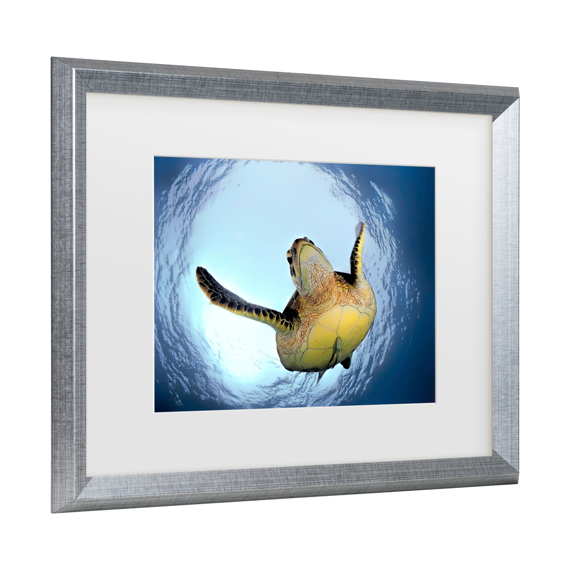 Silver Framed Green Turtle Canvas Print for Kids' Nursery