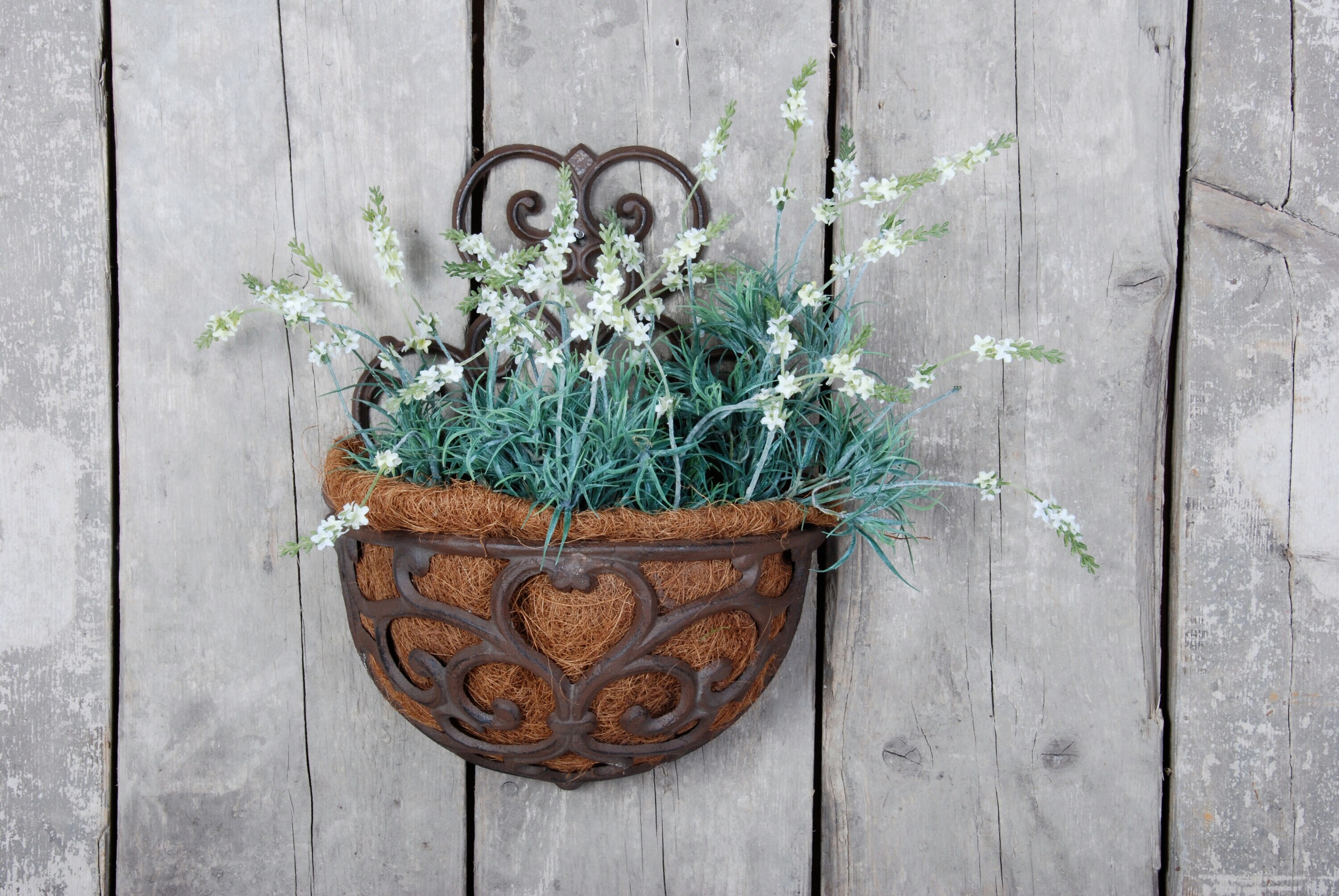 Esschert Design BPH51 10.6-in W Medium Multiple colors/finishes Mixed/Composite Indoor/Outdoor Planter with Drainage Holes