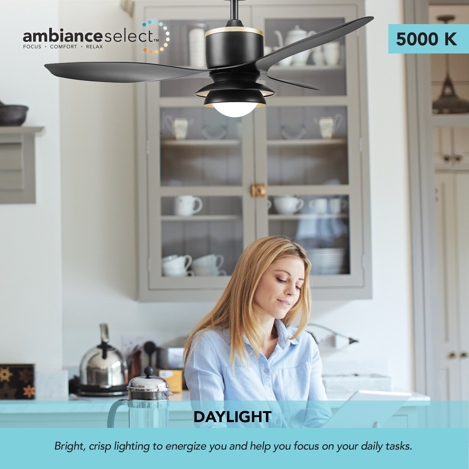 Globe Electric 91006642 Ceiling-Fans - View #6