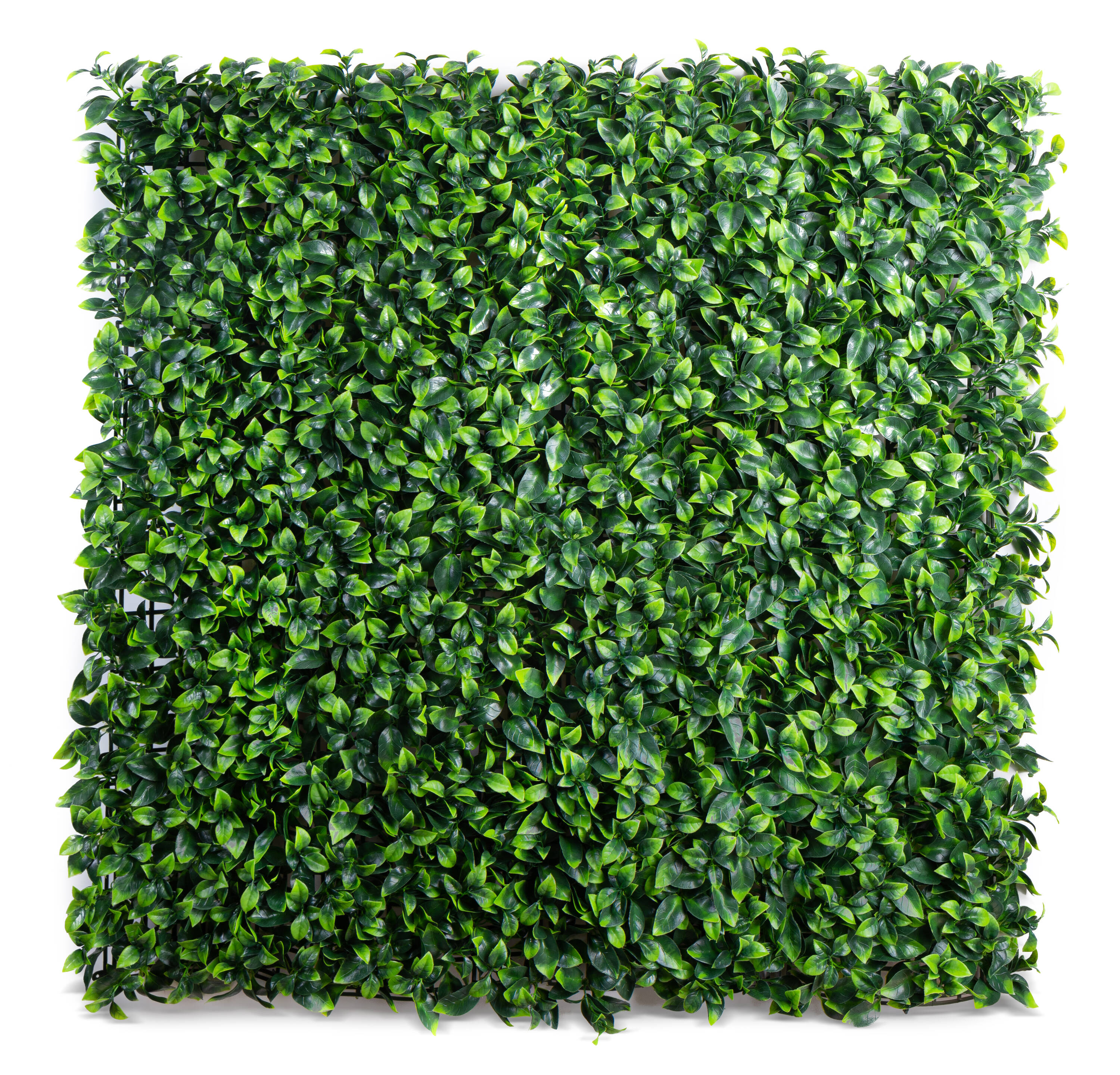 naturae decor MTR2020-4000-12PK 20-Inches W x 20-Inches H Gardenia Resin Leaf Garden Trellis 12 -Pack