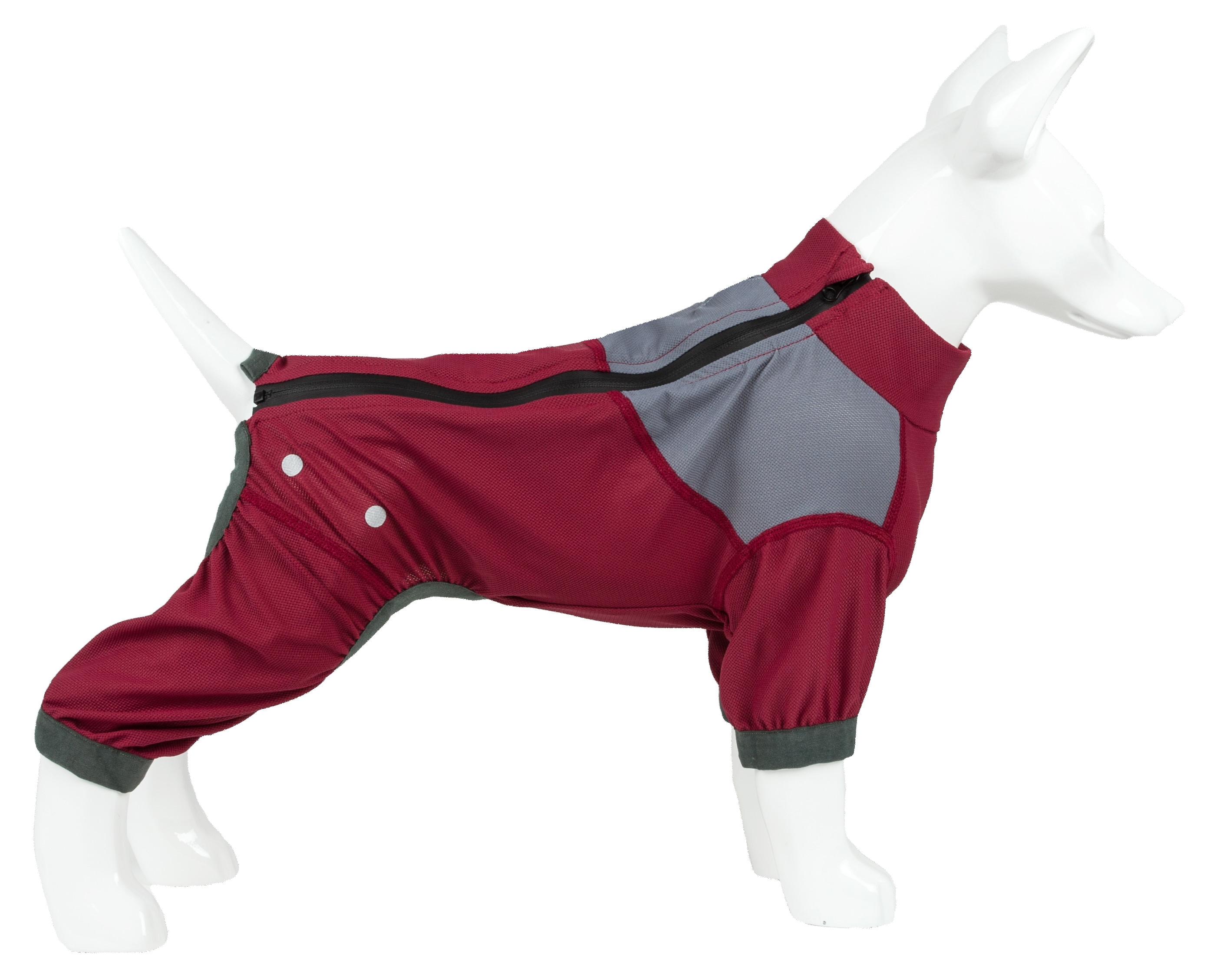 Dog Helios YGHL9RDXS Dog-Apparel - View #7