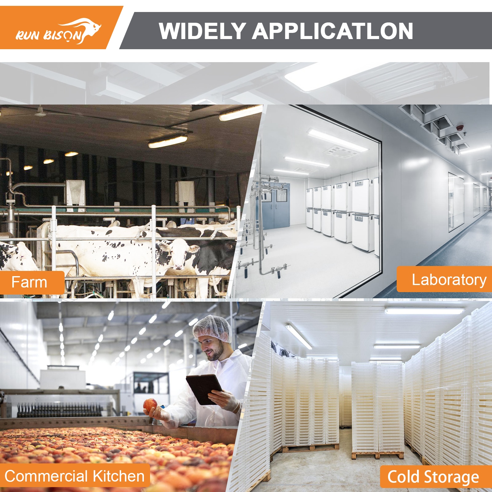 RUN BISON LJC-LVTP-4FT2L b040750 - View #5