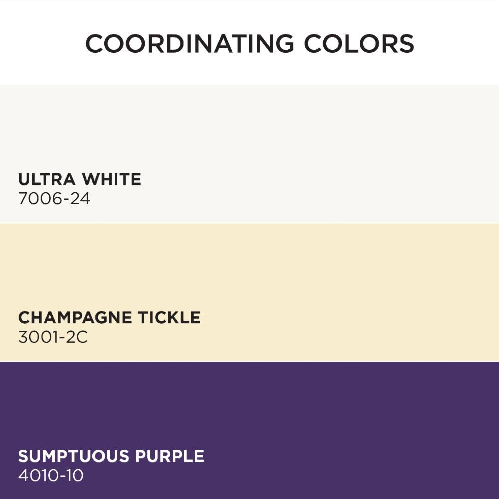HGTV HOME by Sherwin-Williams 1001-4B-2557219 Int-Ext-Paint - View #5