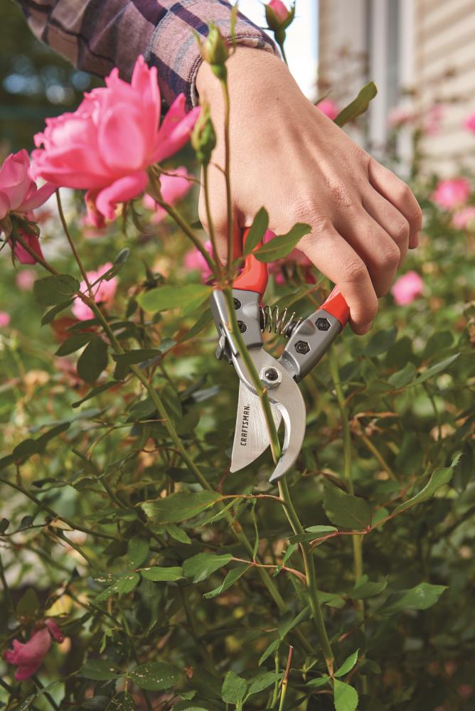  Garden Scissors, Gardening Tools Not Easily Deformed Trimming  Scissors for Cannabis for Flowers for Pruning Various Branches for Pruning  Flowers for Grasses : Patio, Lawn & Garden