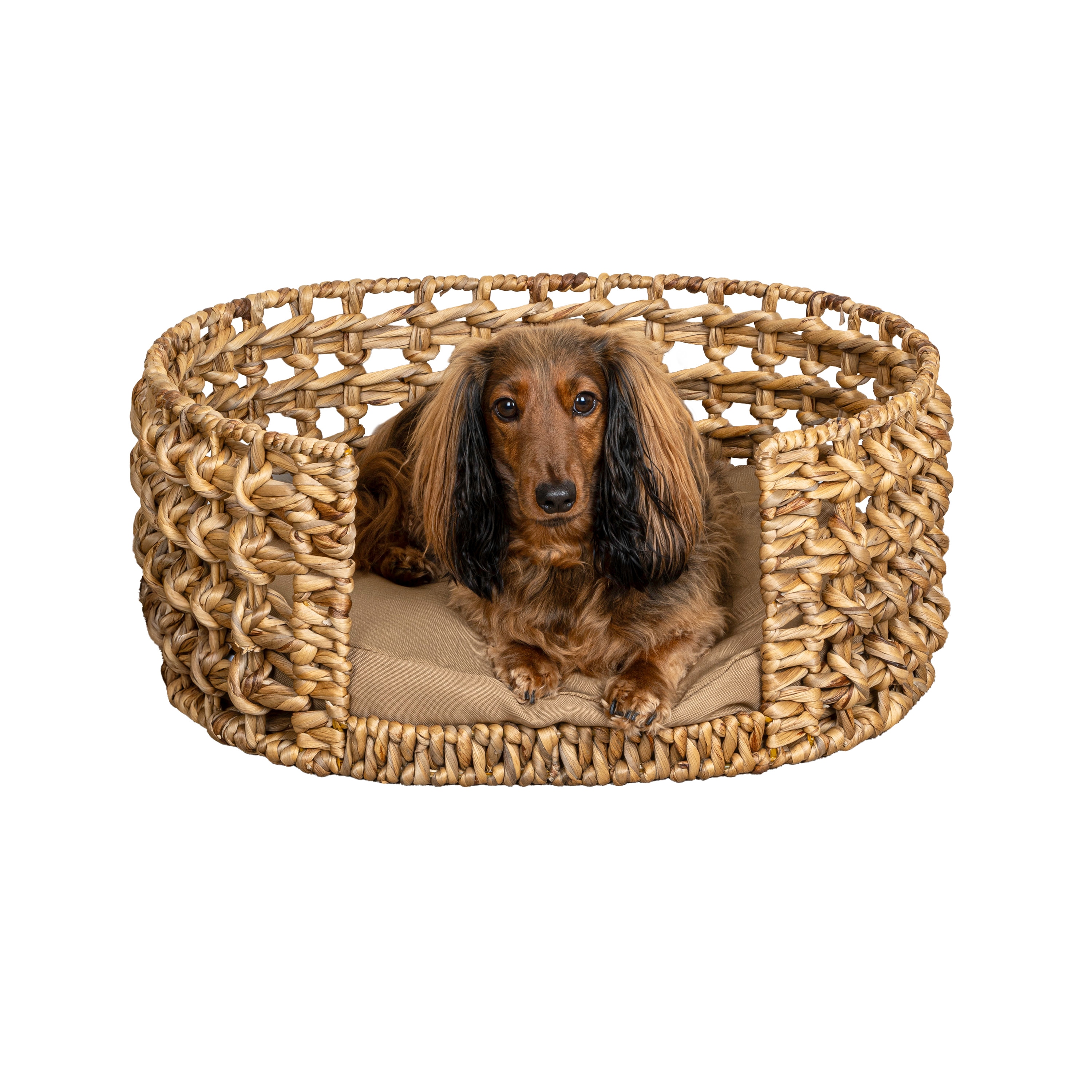 The Licker Store Gigi 24 in. x 18 in. Modern Bohemian Handwoven Hyacinth Open-Weave Oval Pet Bed with Machine-Washable Cushion - Natural