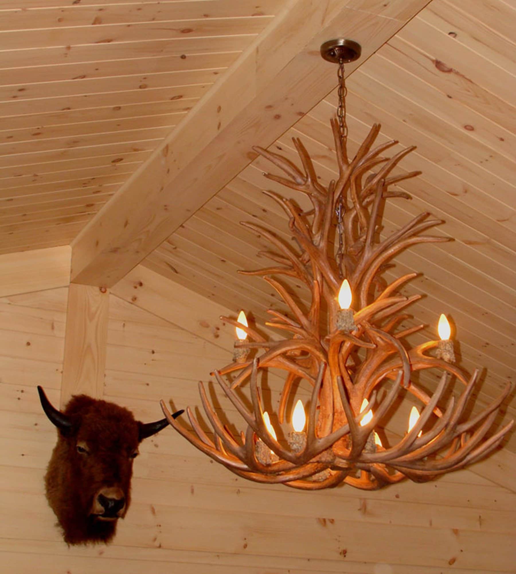 Canadian Antler Design CLR-8-XL-W b090015 - View #5