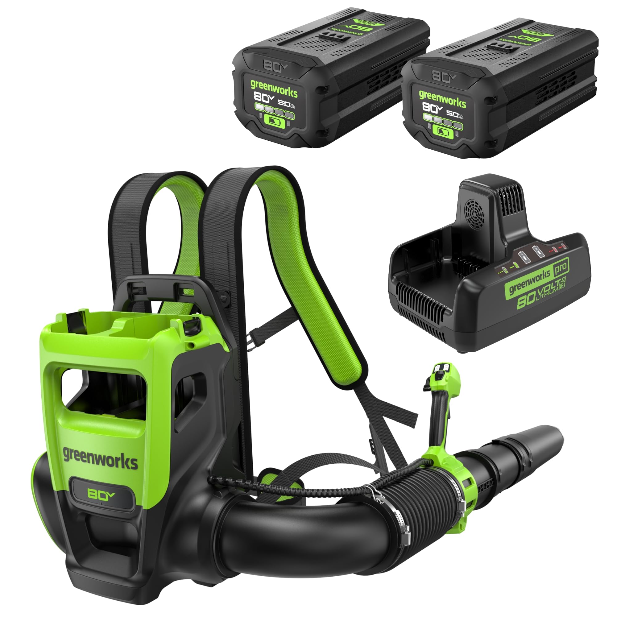 80-volt 800-CFM 200-MPH Battery Backpack Leaf Blower 5 Ah Battery Included Charger Included