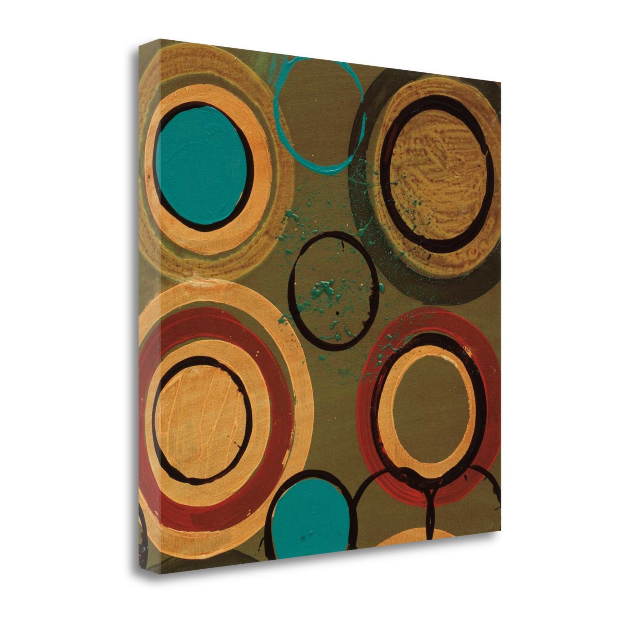 Tangletown Fine Art Circle Designs I Leslie Bernsen 20-in H x 20-in W ...