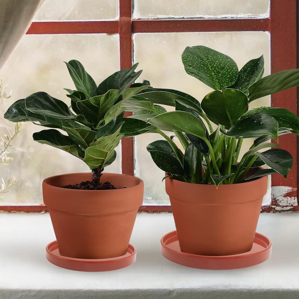 Justincity LJT0519J058 Planter-Window-Box - View #3