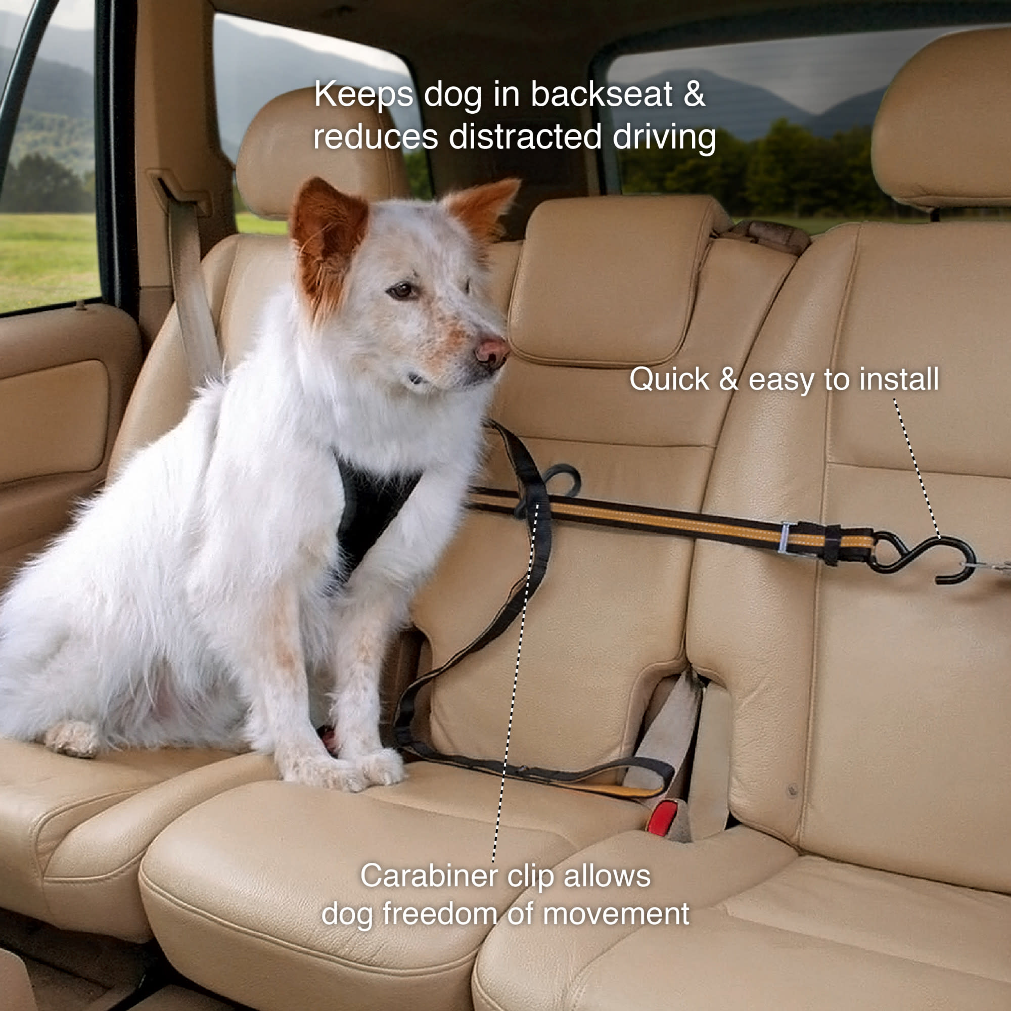 Kurgo K00032 Pet-Travel-Accessories - View #4