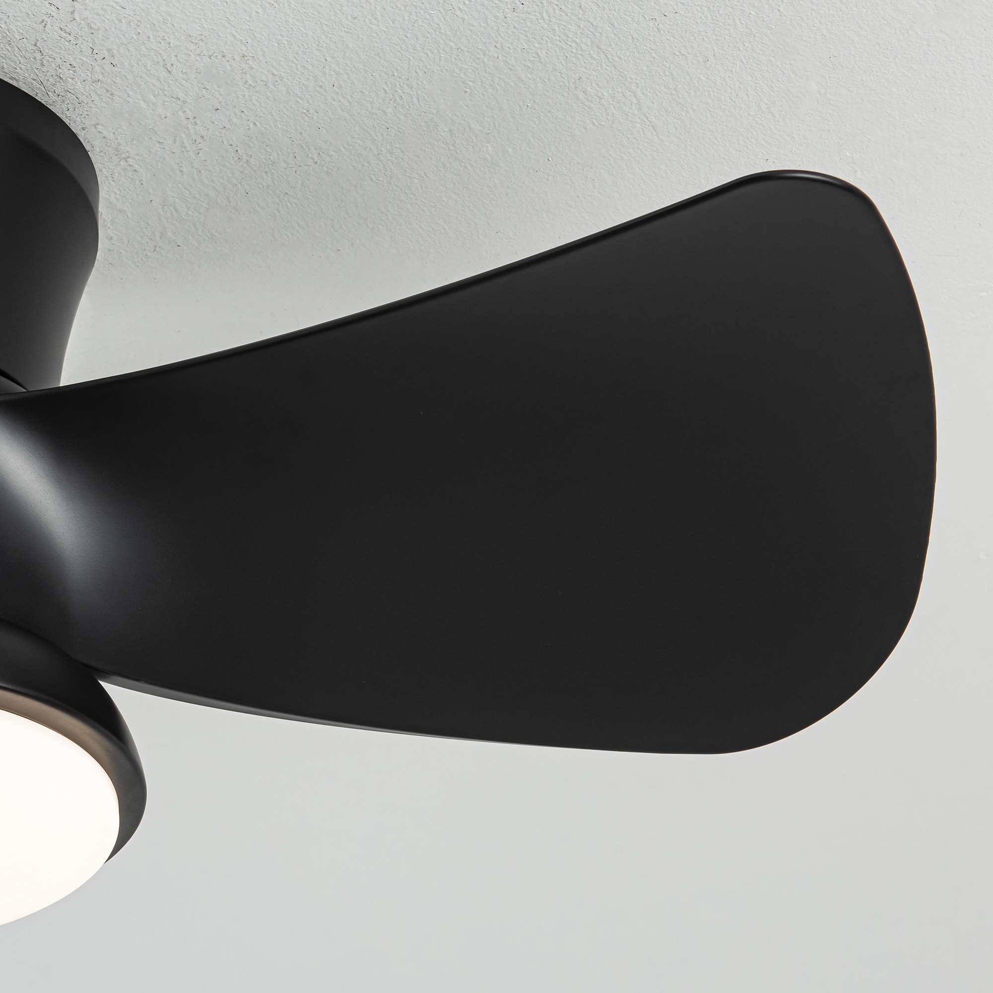 Parrot Uncle F6372BK110V Ceiling-Fans - View #9