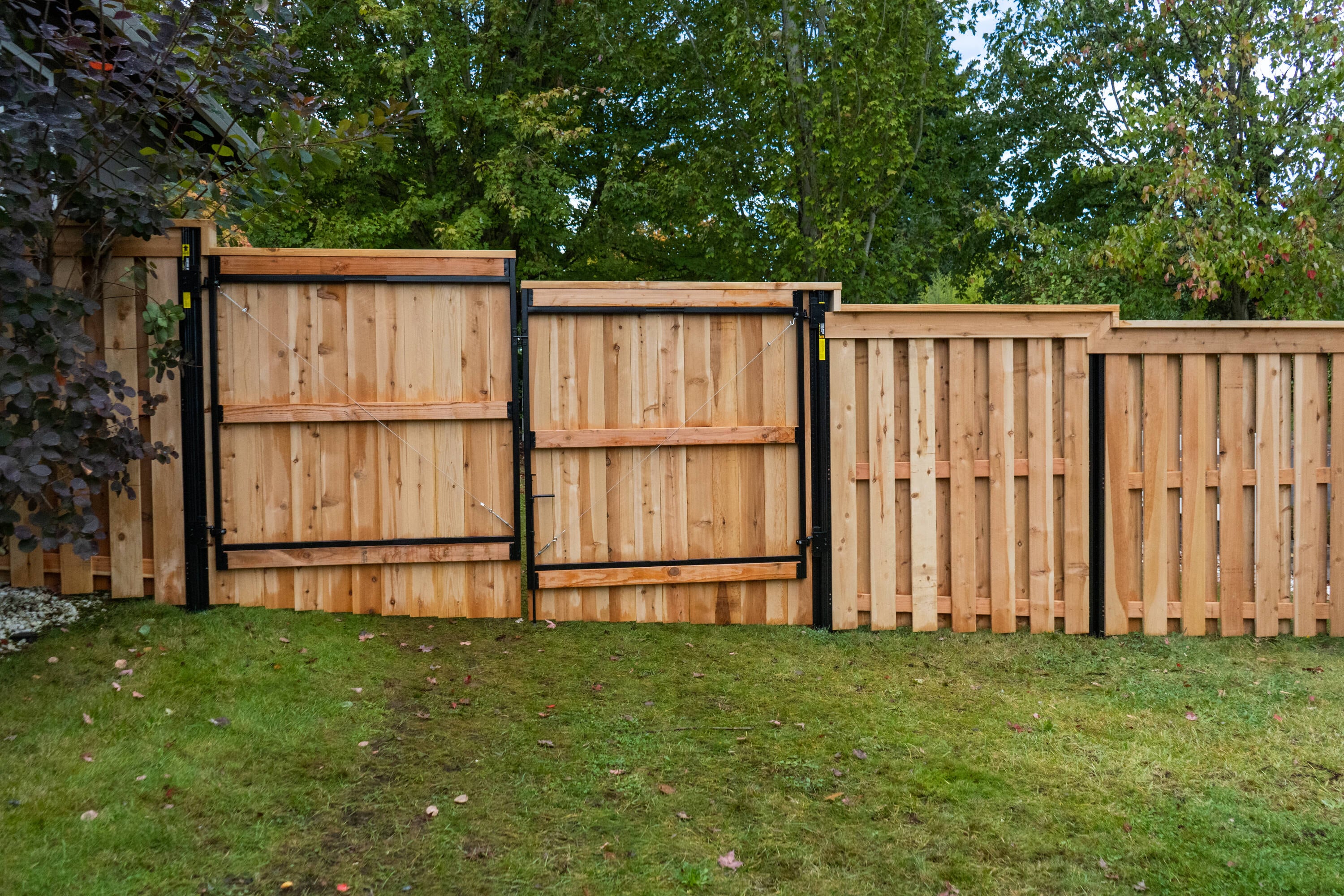 5 8-in X 5-1 2-in X 6-ft Western Red Cedar Flat-top Fence Picket In The 