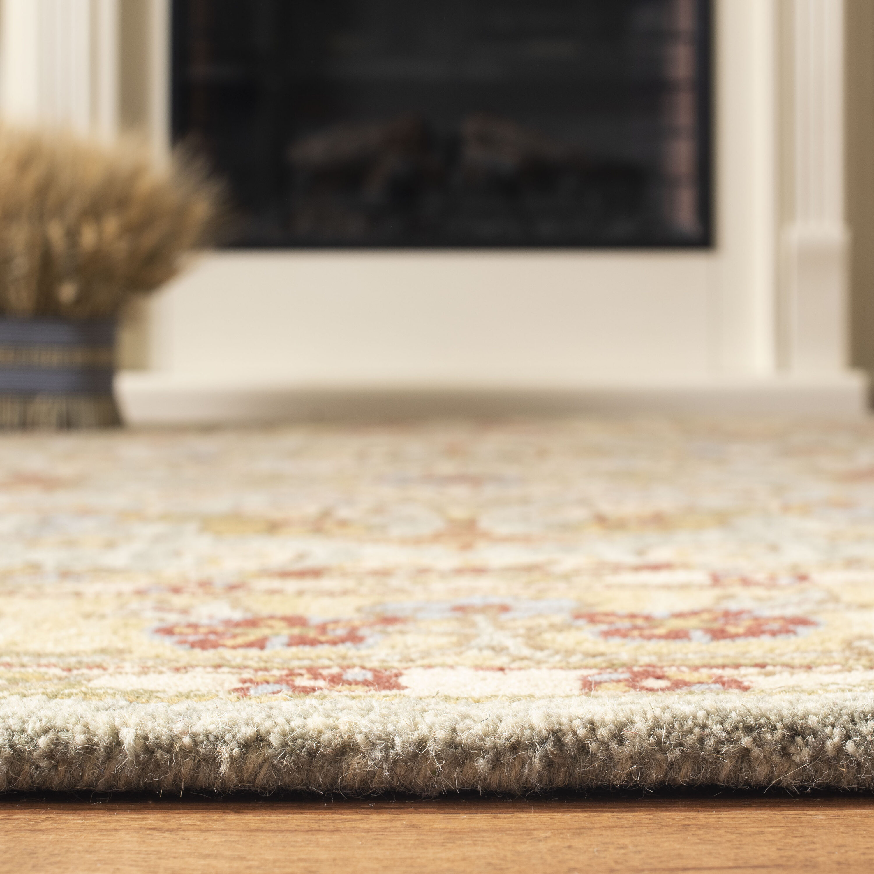 Safavieh CL324A-5 rugs - View #4