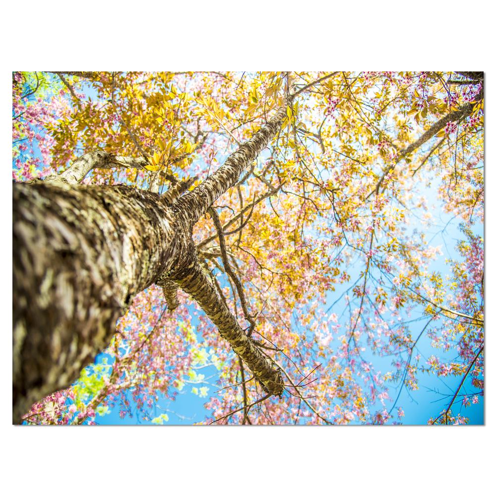 Designart PT14792-20-12 12-Inches H x 20-Inches W Landscape Canvas Print