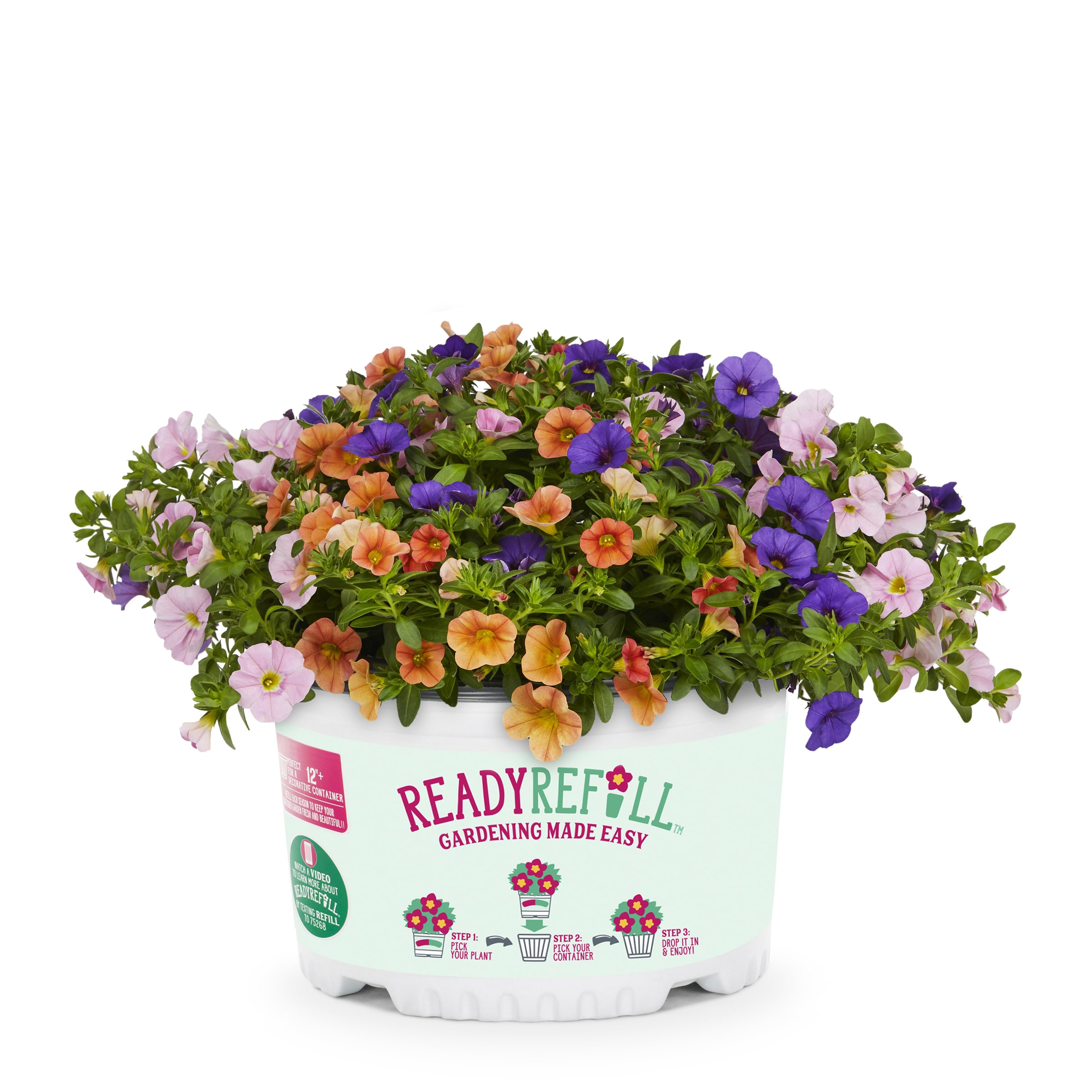 Lowe's 1527924 Multicolor Calibrachoa Mix in 1.5 Gallon(s) Pot 1 -Pack
