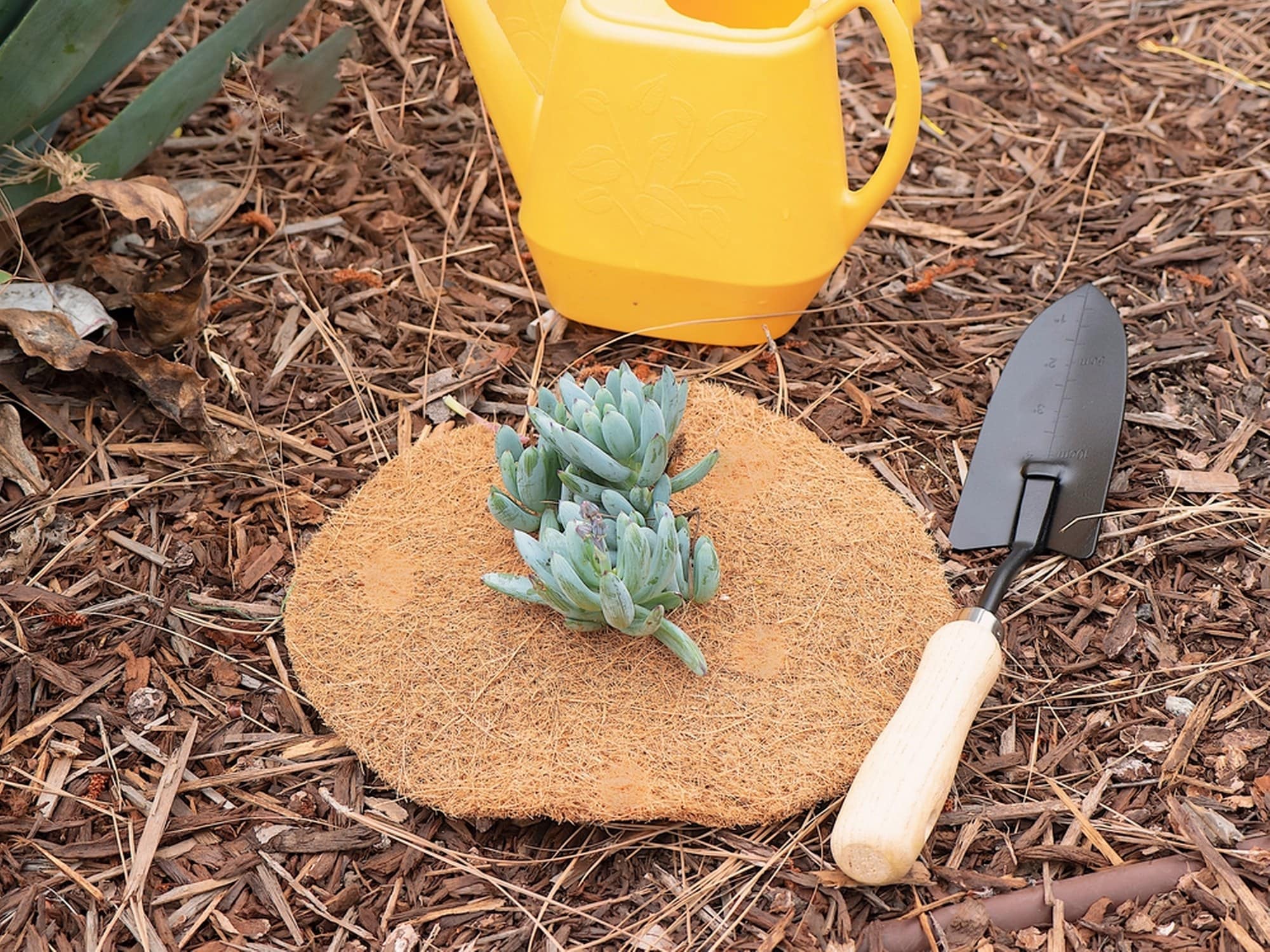 Envelor EN-CWCD-9-15 Rubber-Mulch-Tree-Rings - View #5