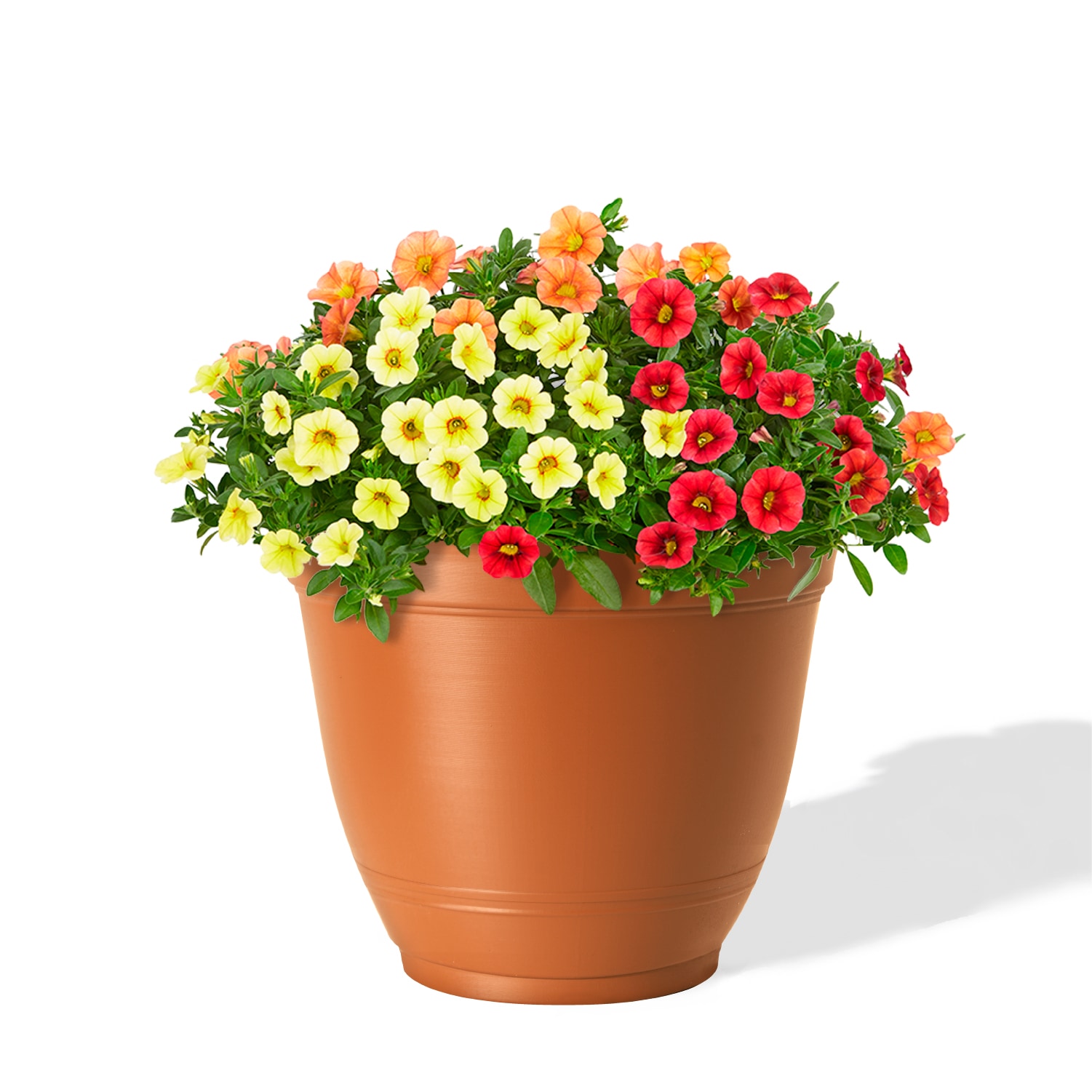 Style Selections DP2132P-CLAY Planter-Window-Box - View #2